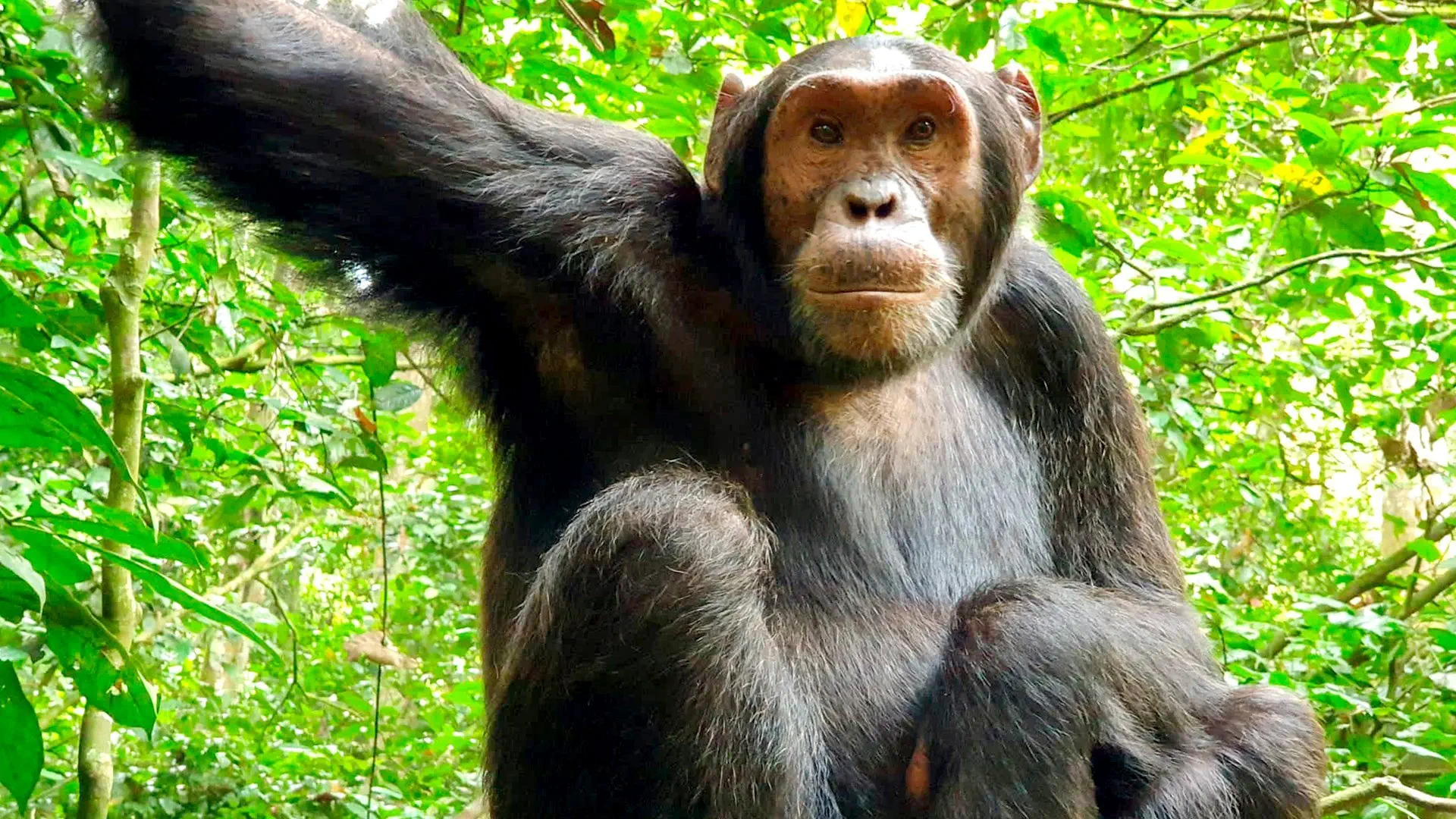 Perły Wschodniej Afryki: w Ugandzie i Rwandzie - zdjęcie 6