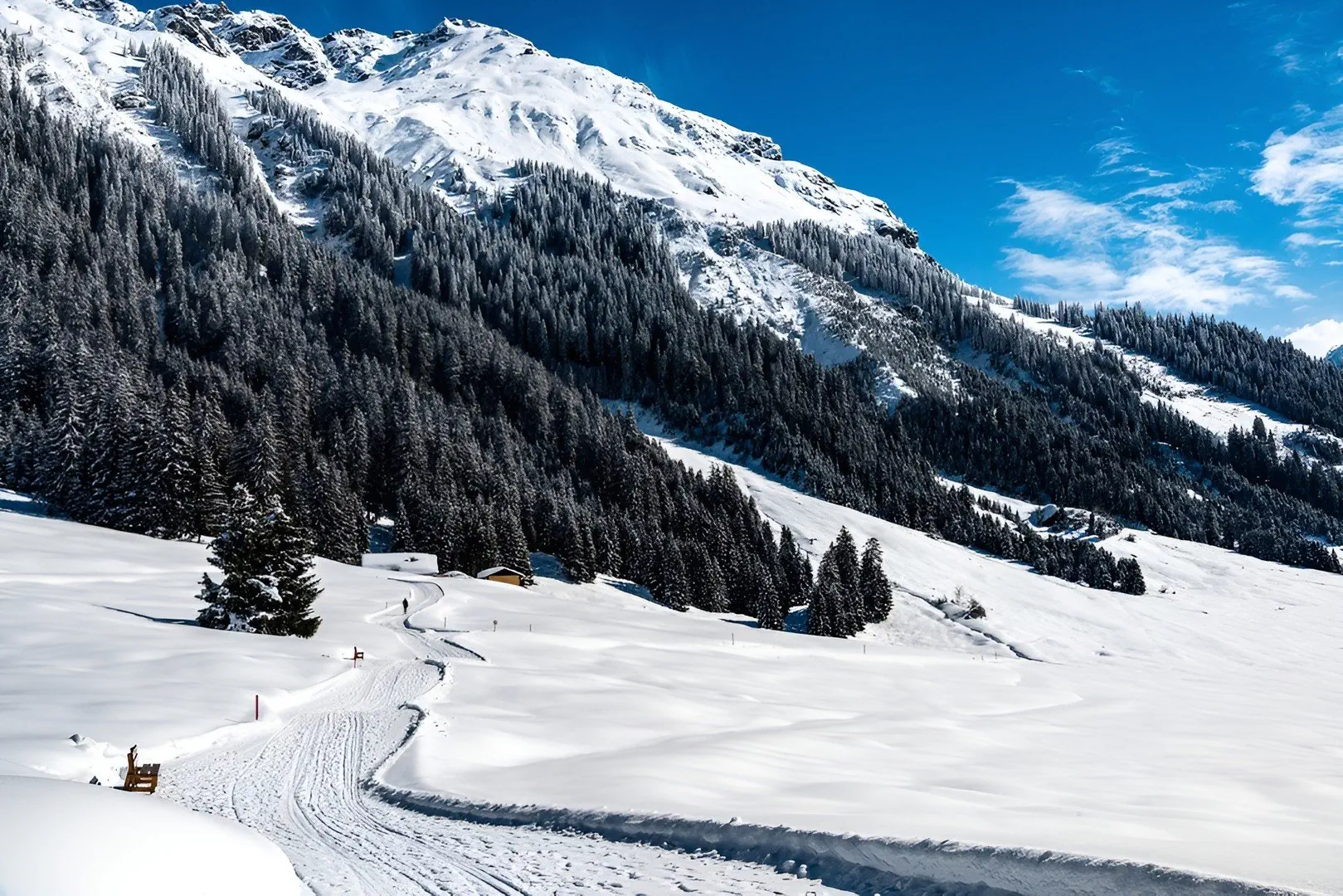 Ochsen (Davos) - zdjęcie 20