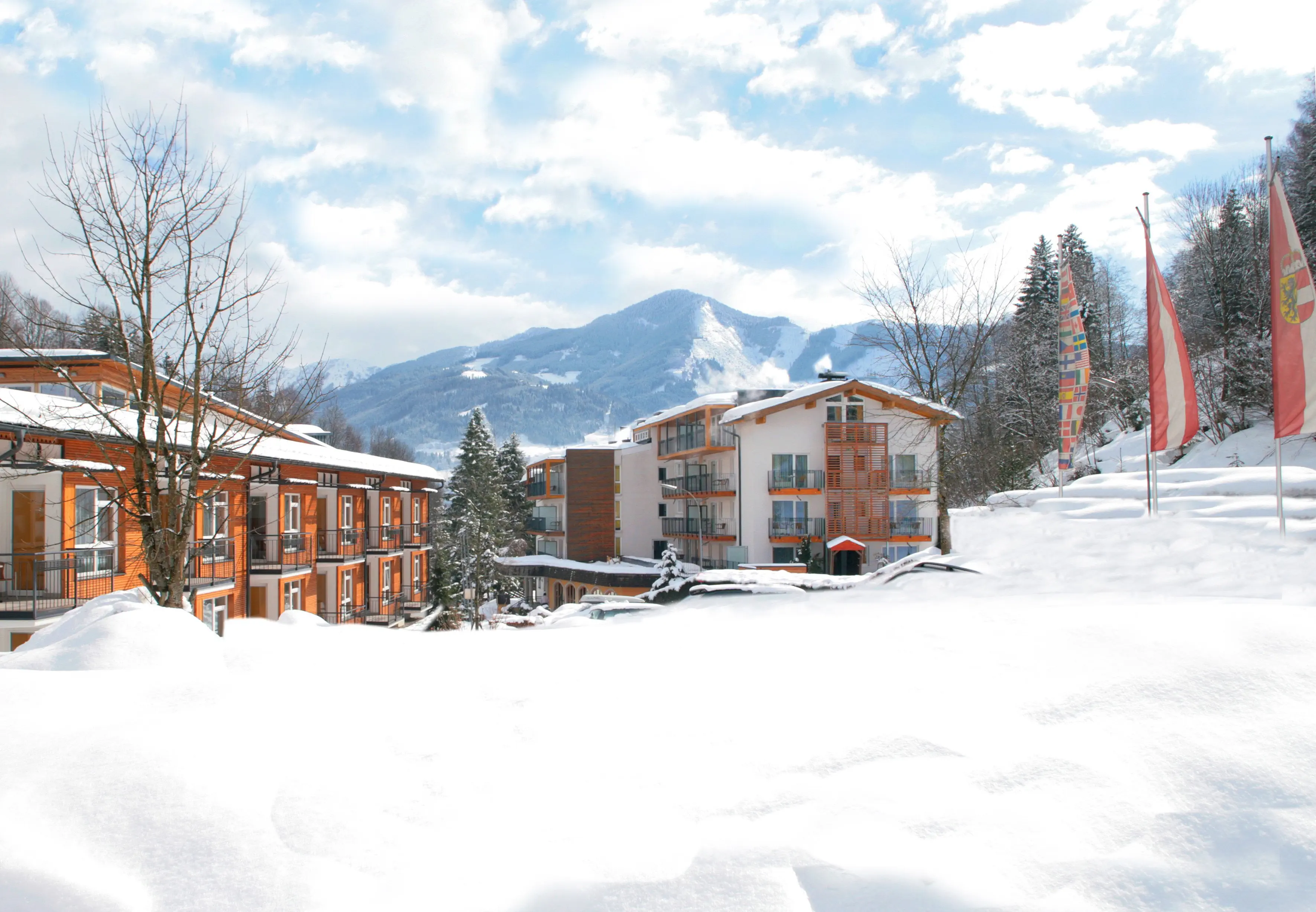 Der Waldhof (Zell am See) - zdjęcie 4