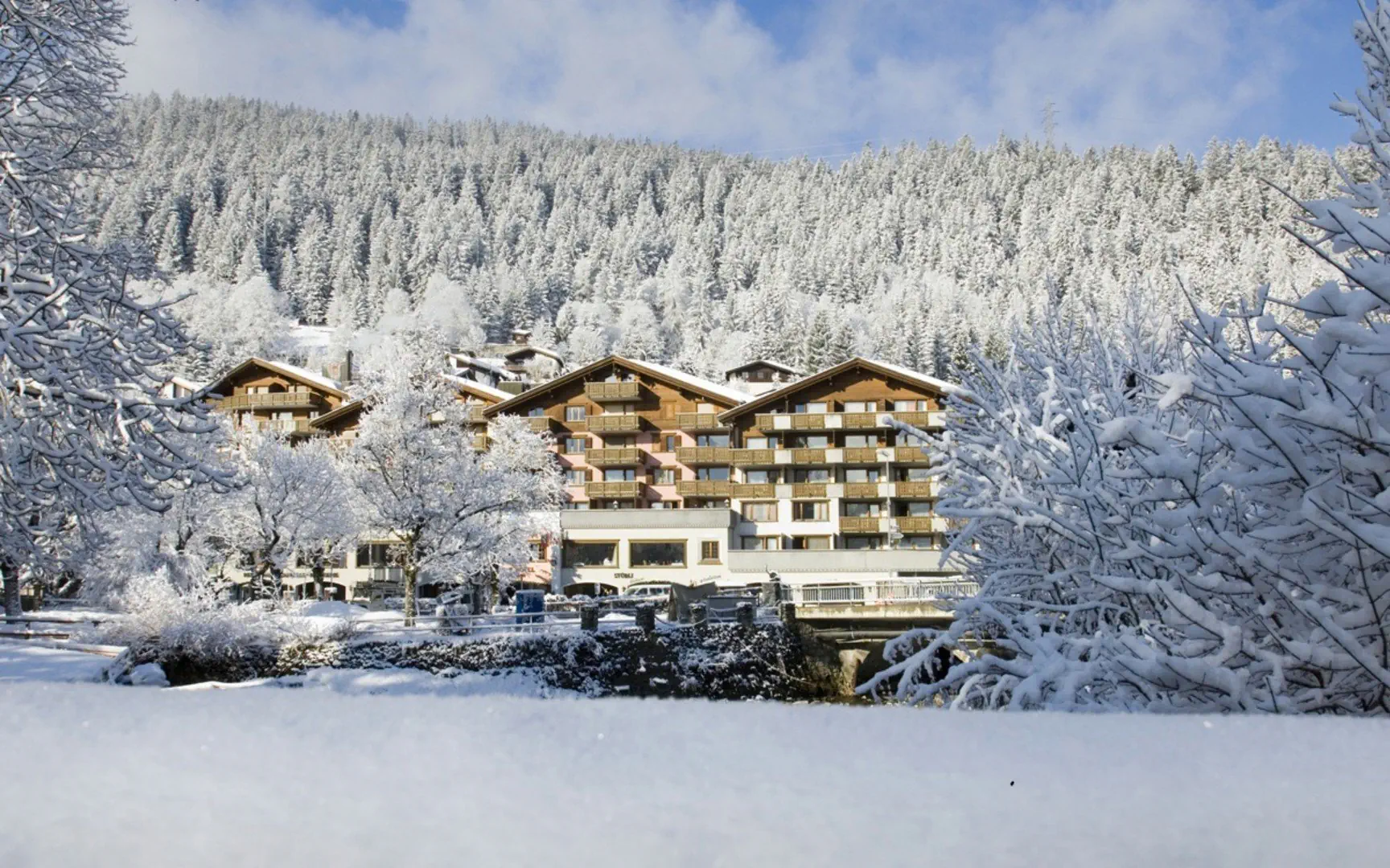 Silvretta Parkhotel - zdjęcie 2