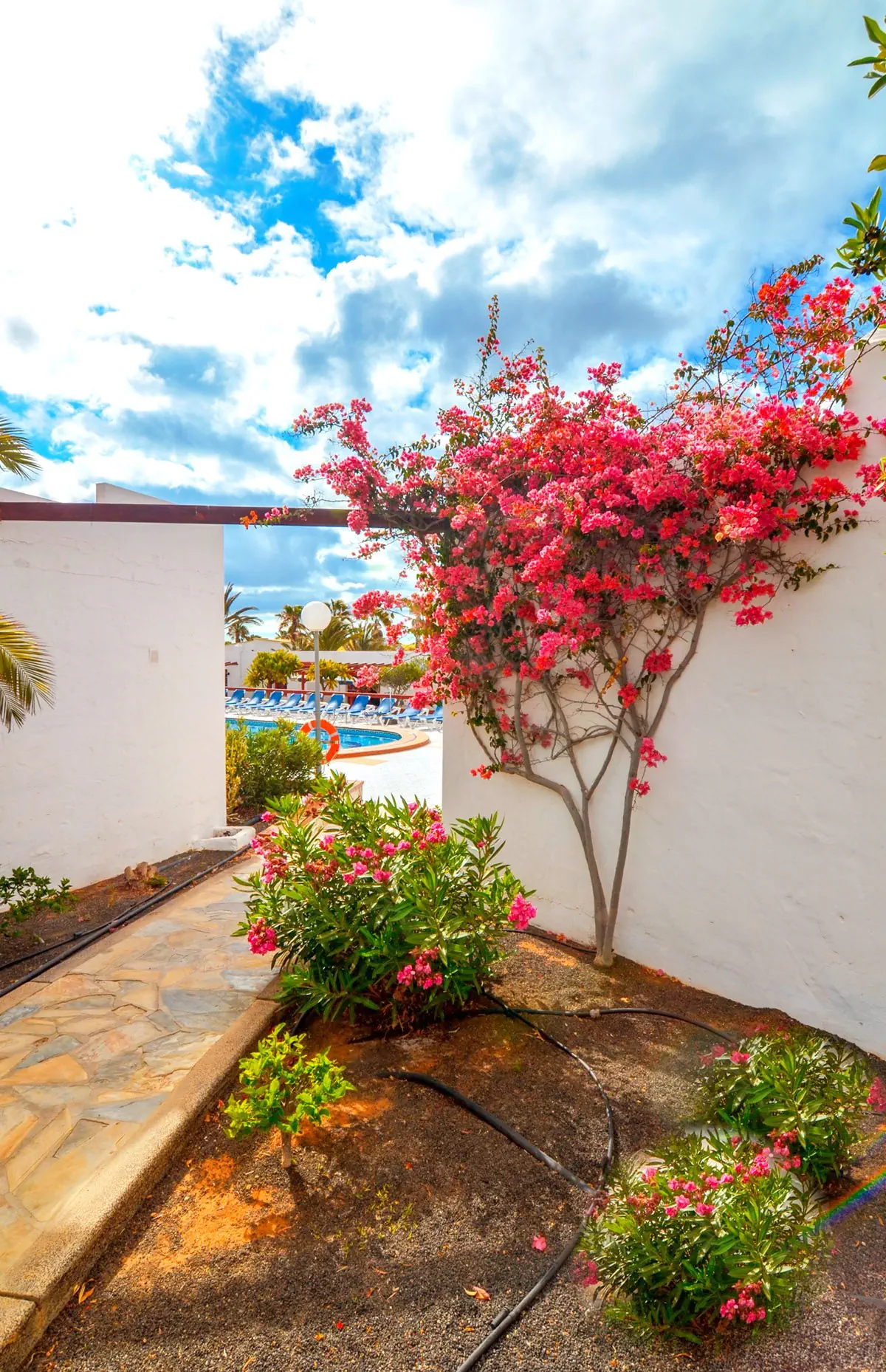 Castillo Beach Bungalows