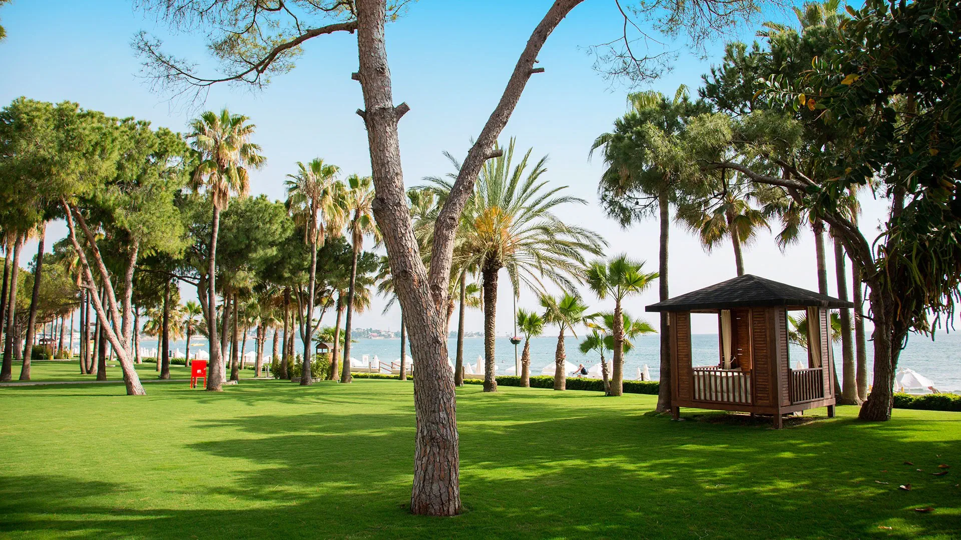 Acanthus & Cennet Barut Collection - zdjęcie 16