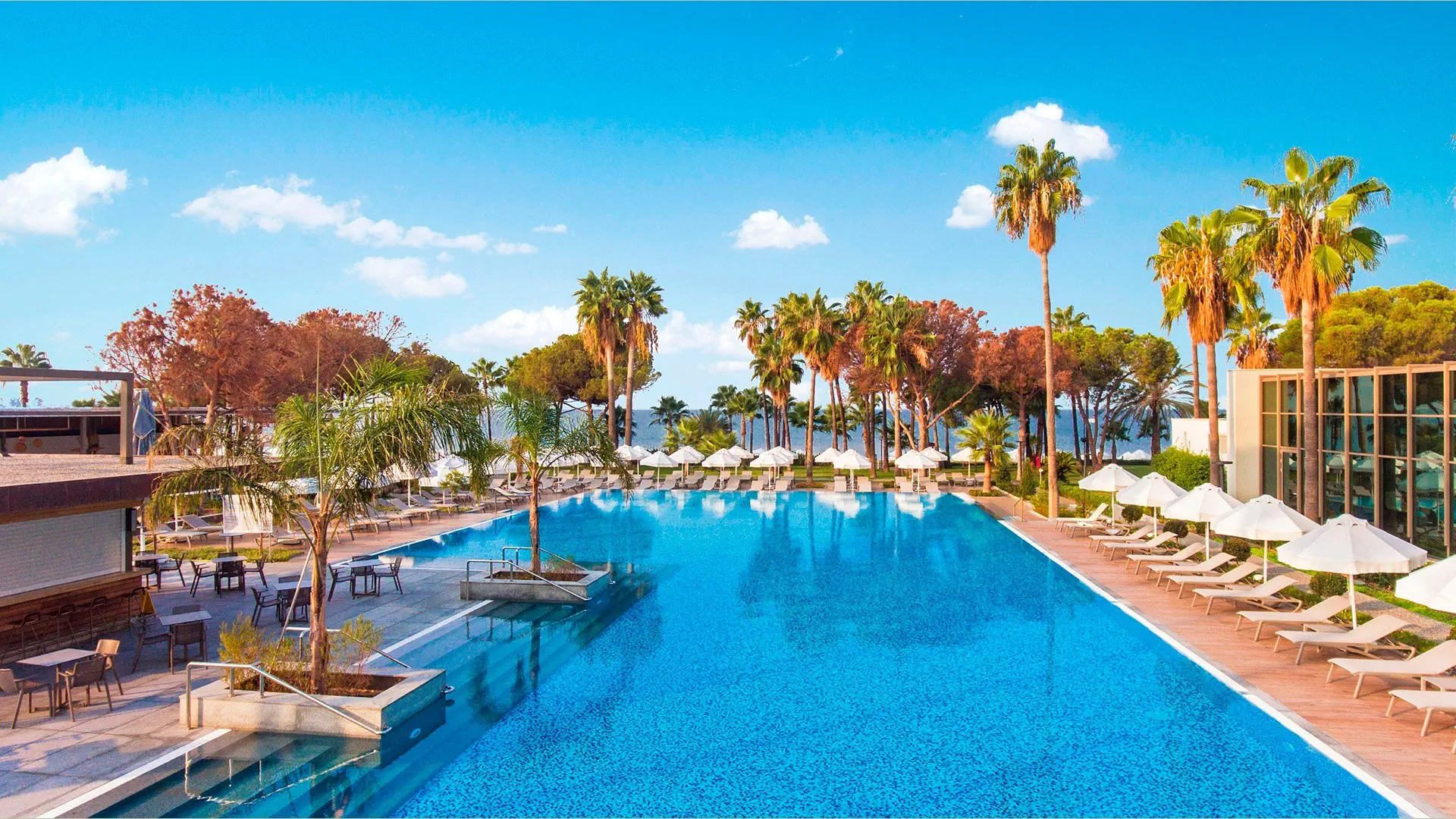 Acanthus & Cennet Barut Collection - zdjęcie 4