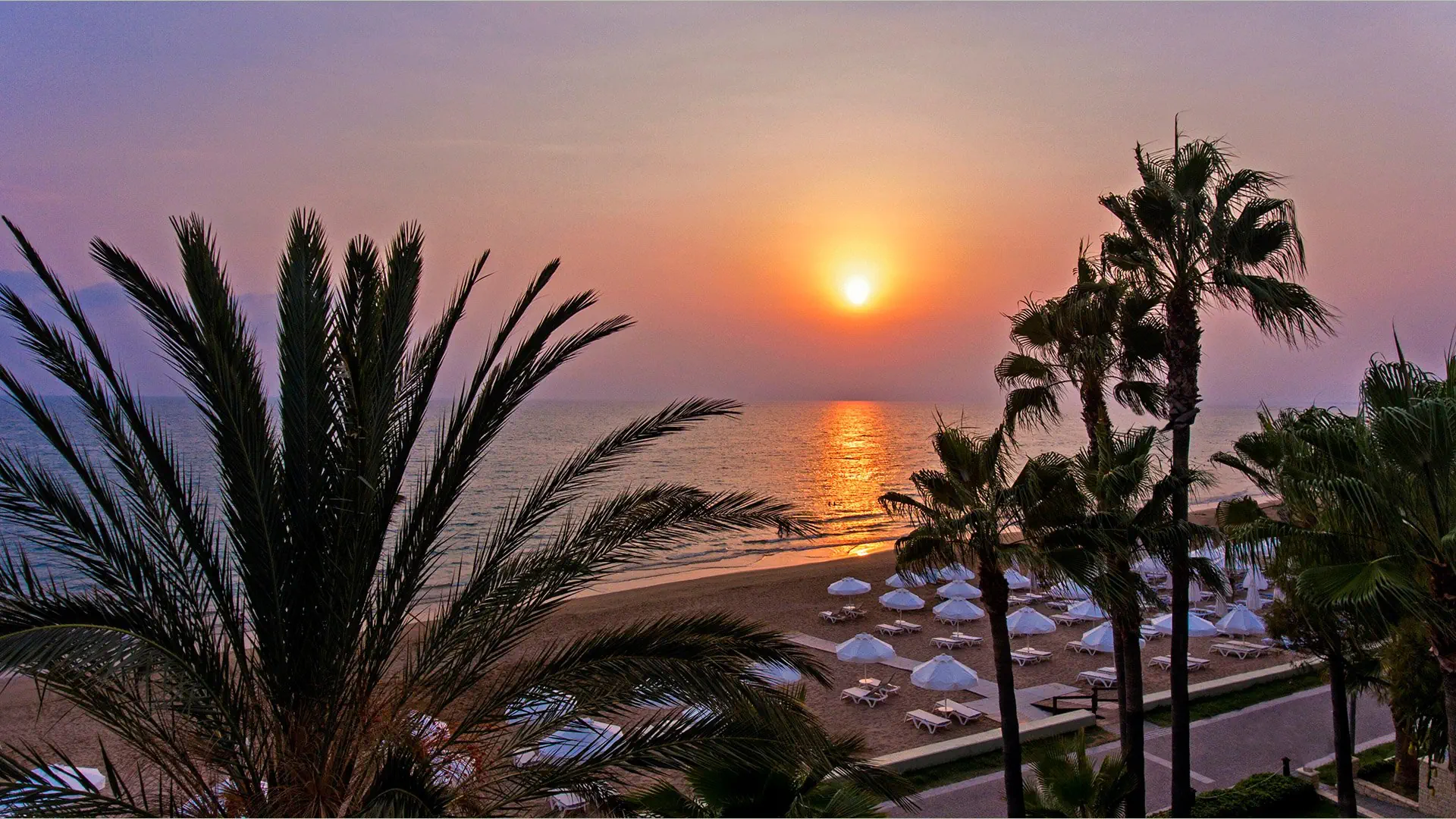 Acanthus & Cennet Barut Collection - zdjęcie 33