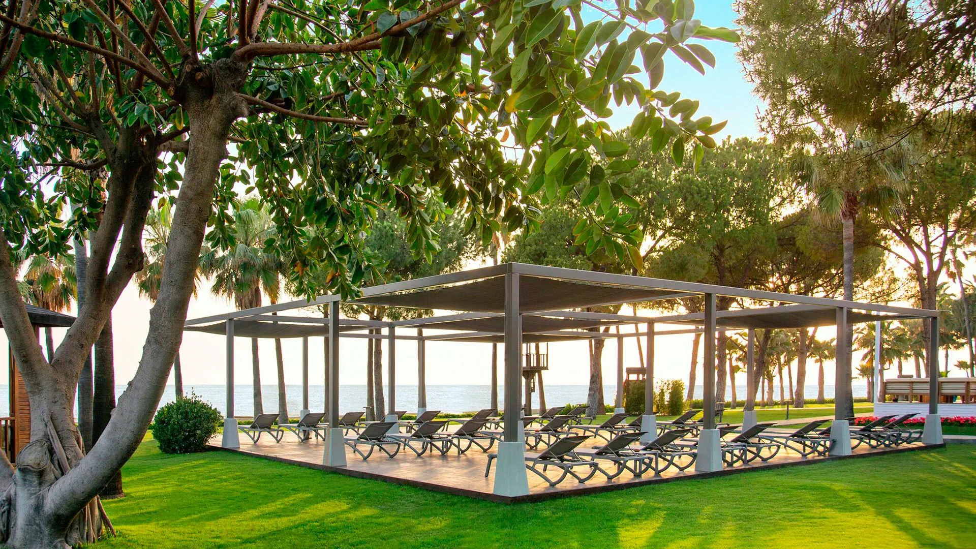 Acanthus & Cennet Barut Collection - zdjęcie 12