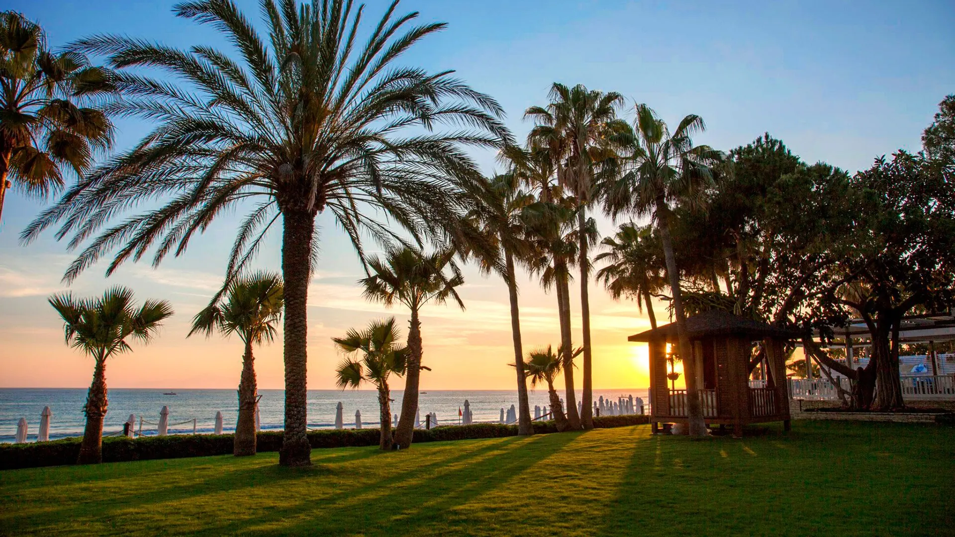Acanthus & Cennet Barut Collection - zdjęcie 32