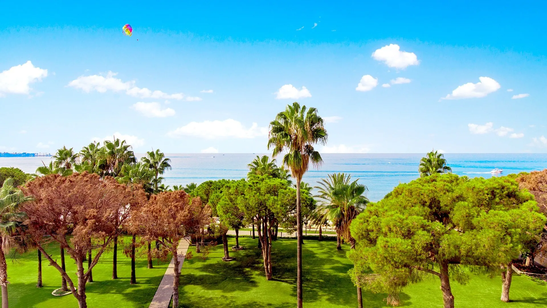 Acanthus & Cennet Barut Collection - zdjęcie 45