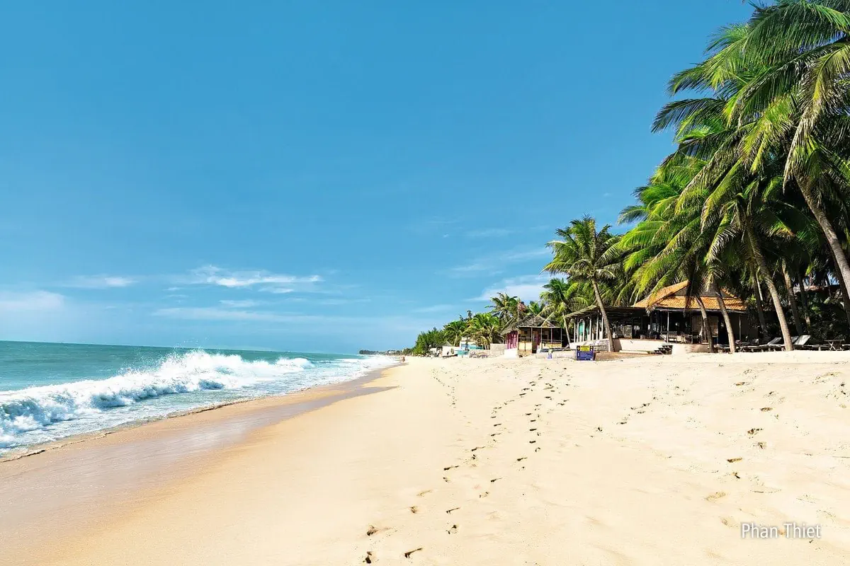 Ryż na Polu, Raj na Plaży - zdjęcie 15