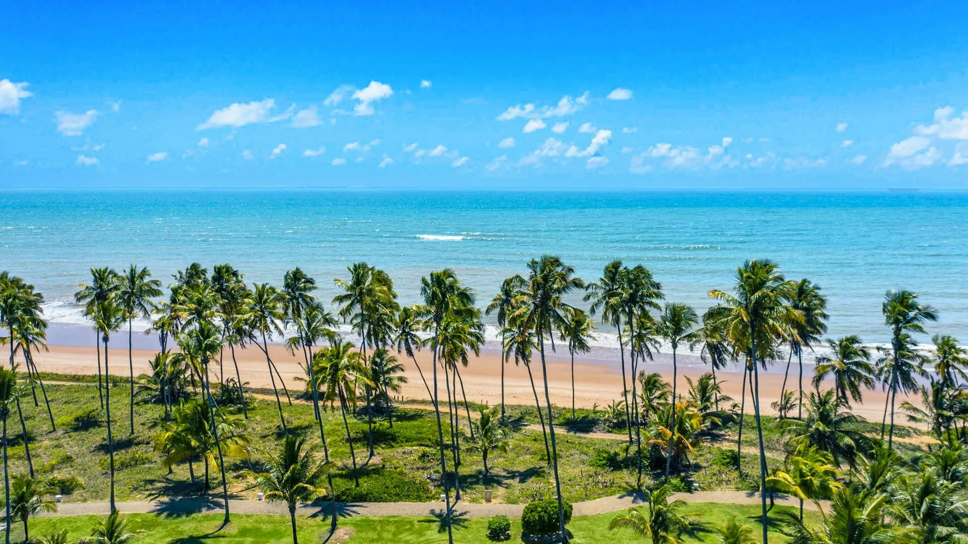 Iberostar Selection Praia do Forte - zdjęcie 3