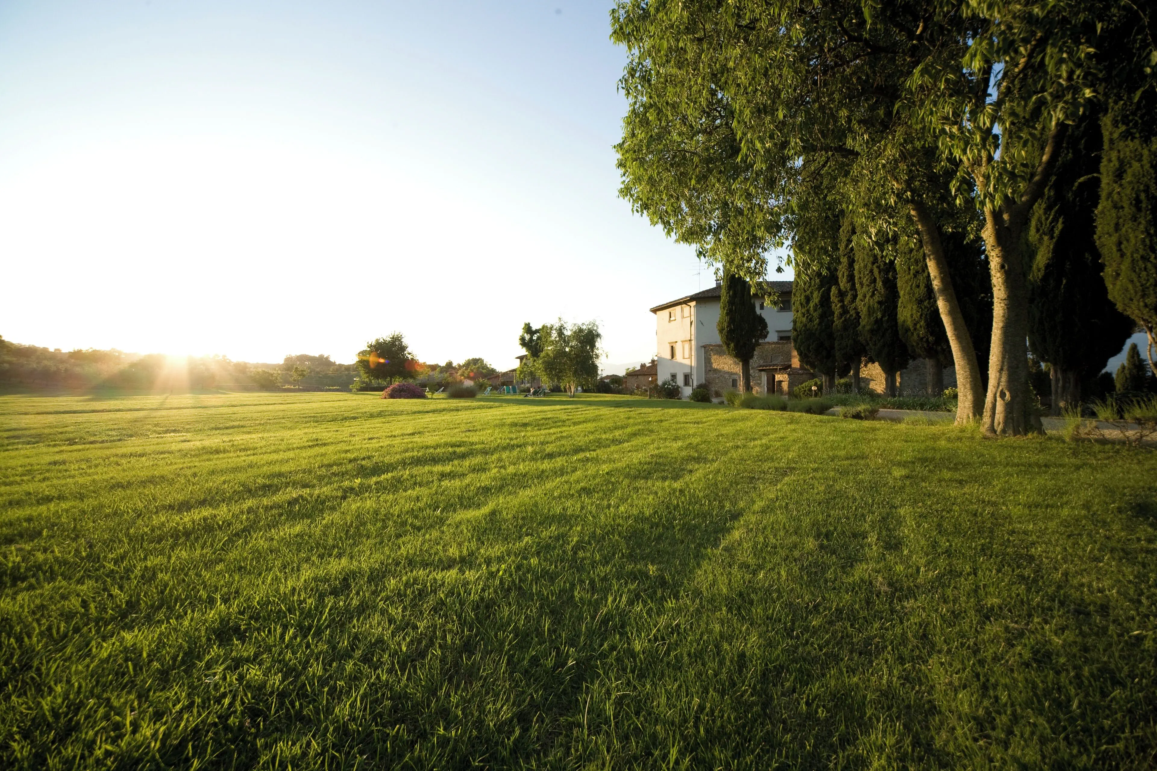 Villa Campestri Olive Oil Resort - zdjęcie 4