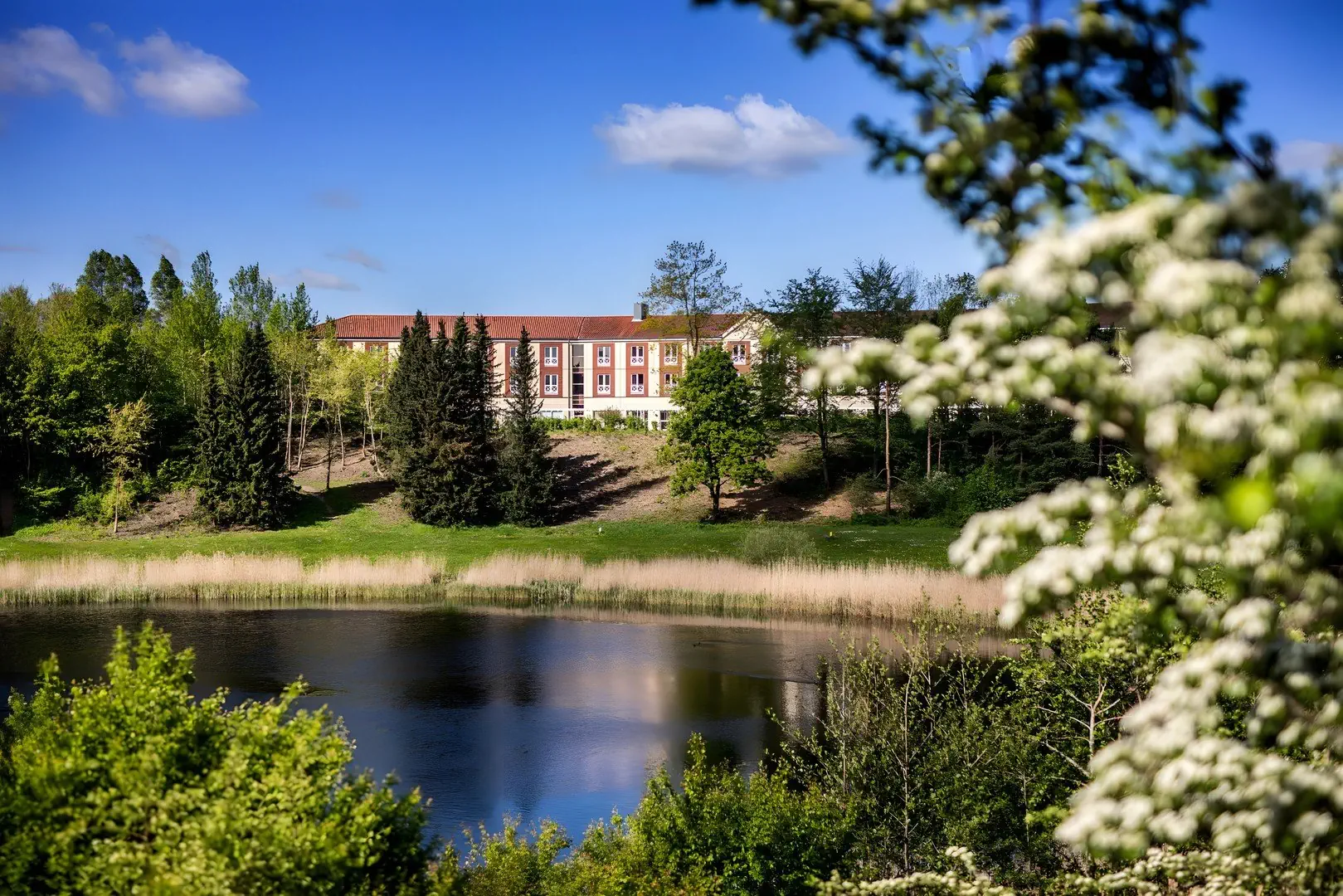 Scandic Roskilde Park - zdjęcie 3