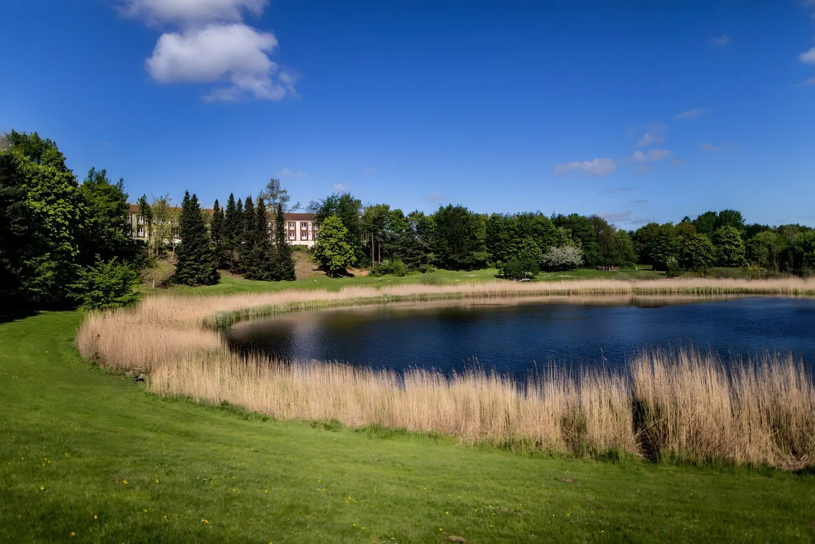 Scandic Roskilde Park - zdjęcie 9