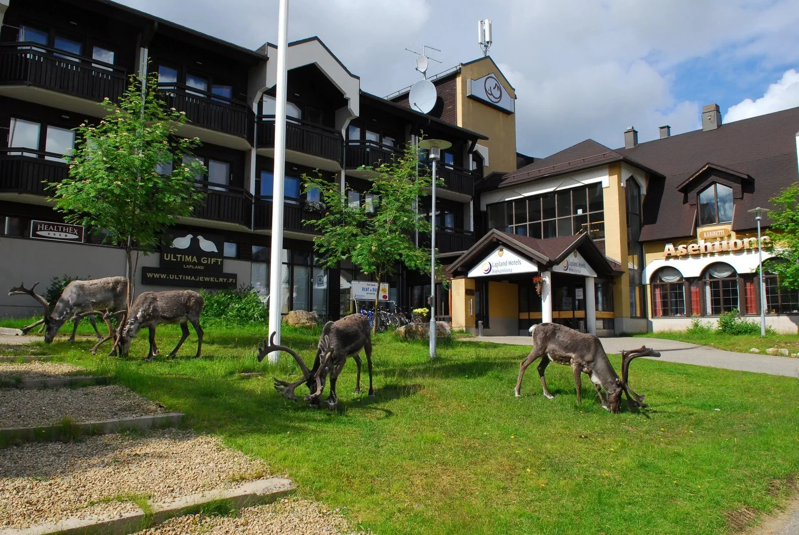 Lapland Riekonlinna - zdjęcie 2