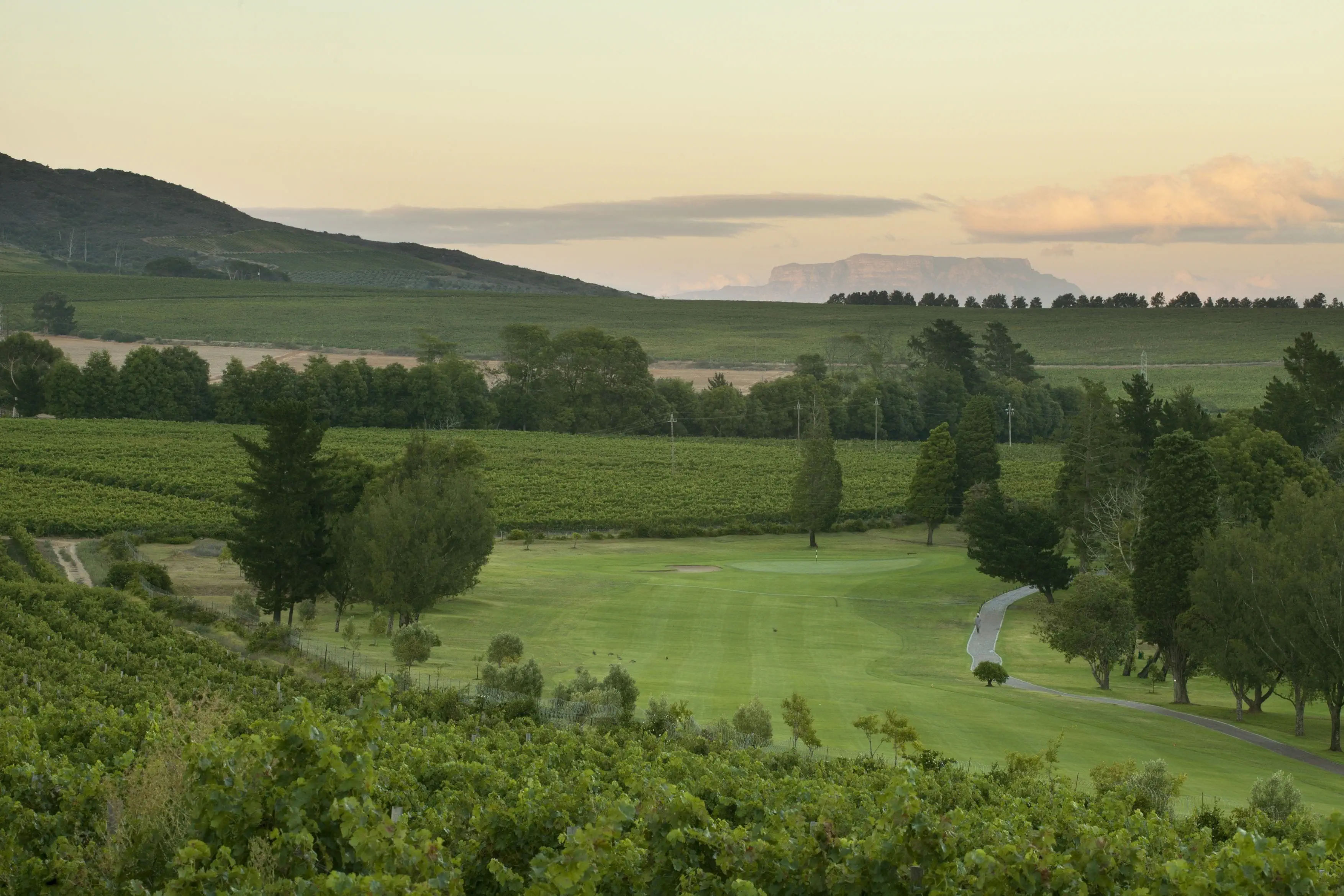 Devonvale Golf & Wine Est - zdjęcie 14