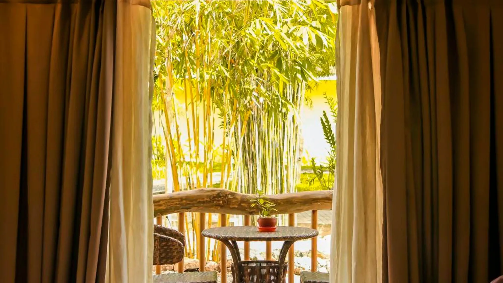 Bluewater Panglao Beach Resort - zdjęcie 8