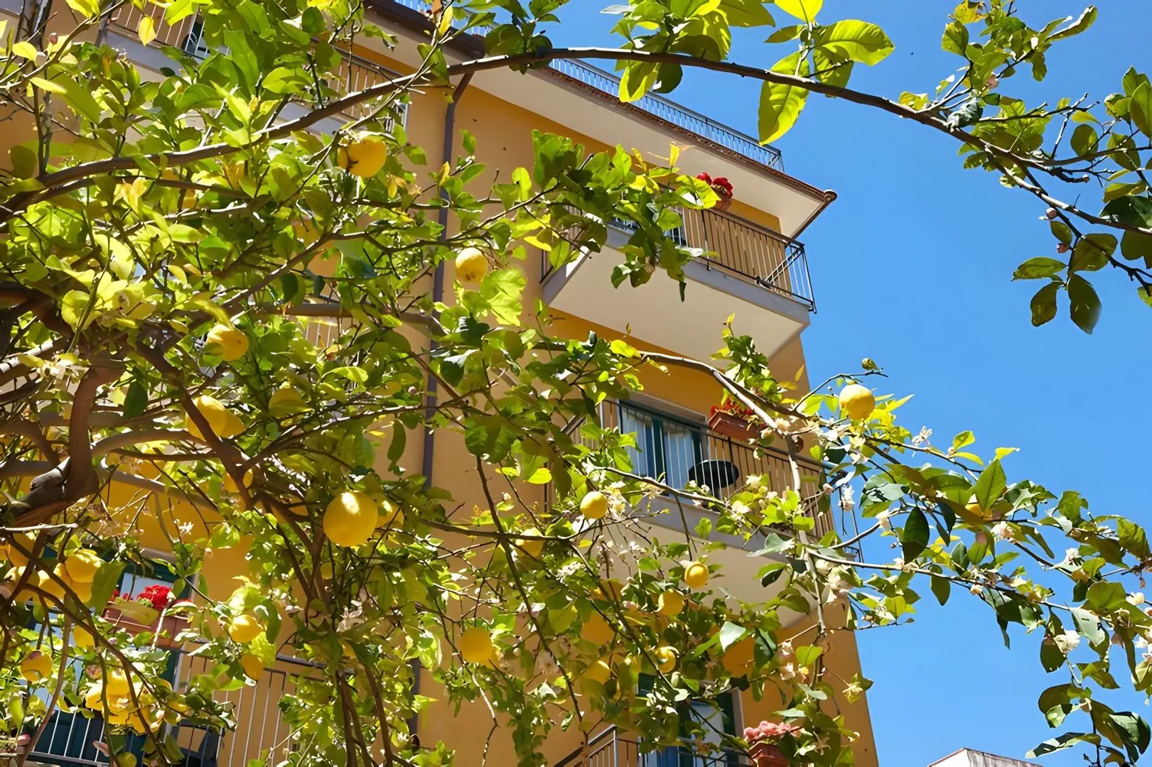 Astoria (Sorrento) - zdjęcie 12