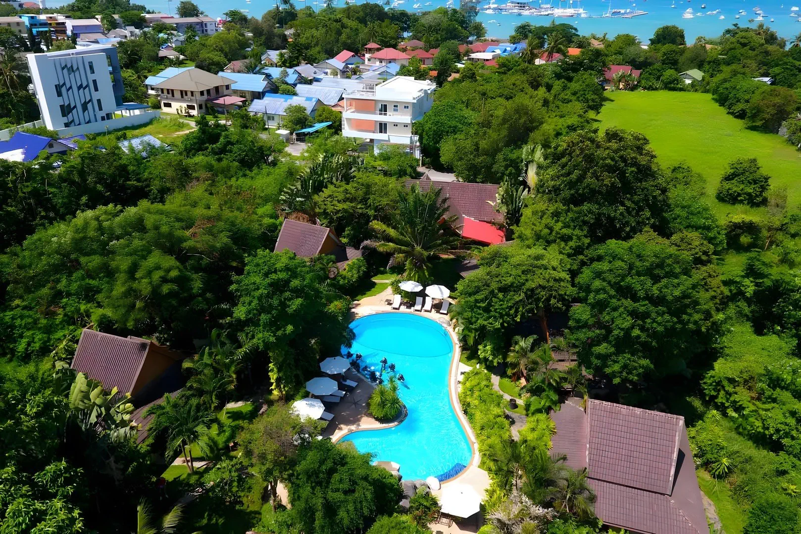 Palm Garden Resort - zdjęcie 3