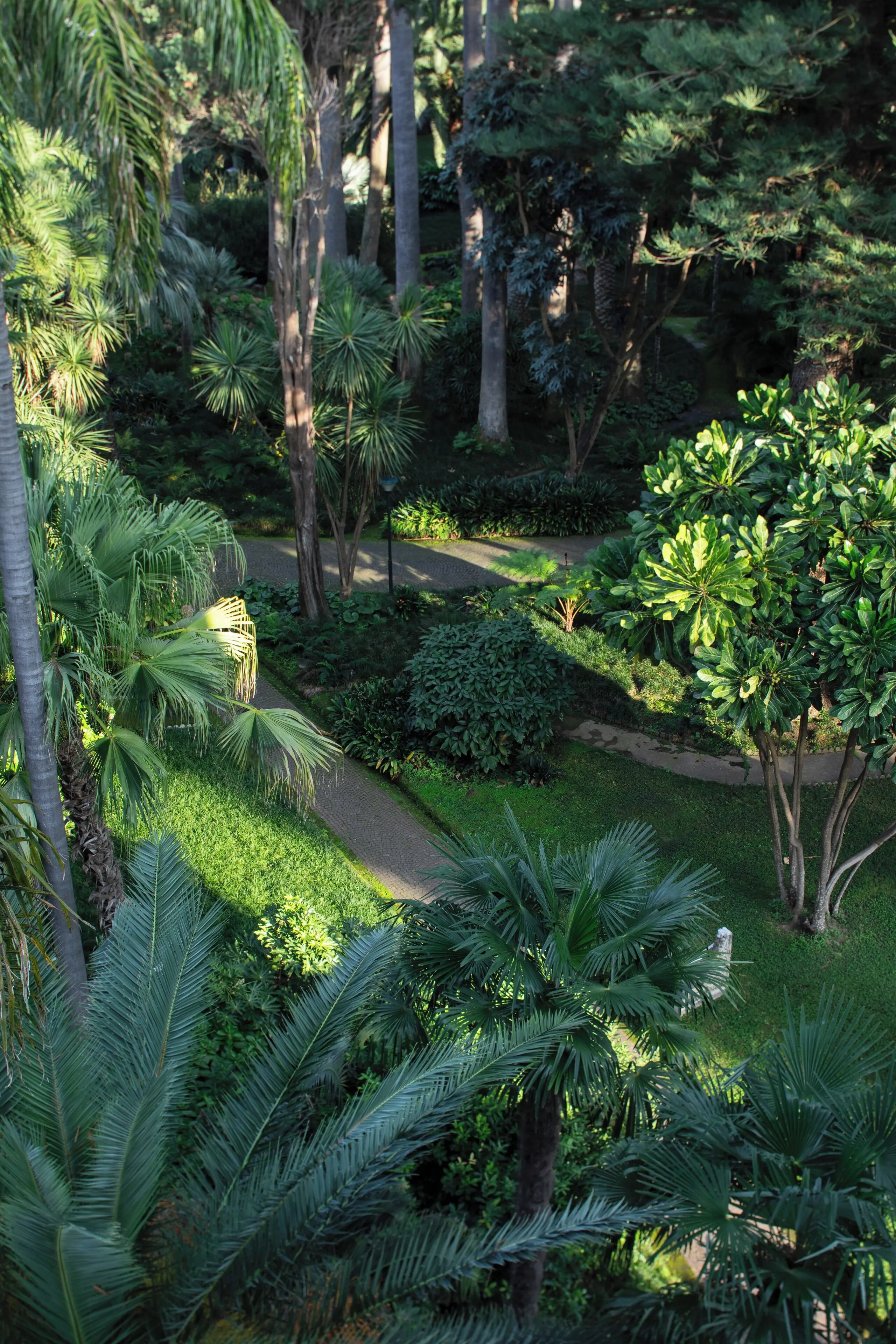 Parco dei Principi (Sorrento) - zdjęcie 21