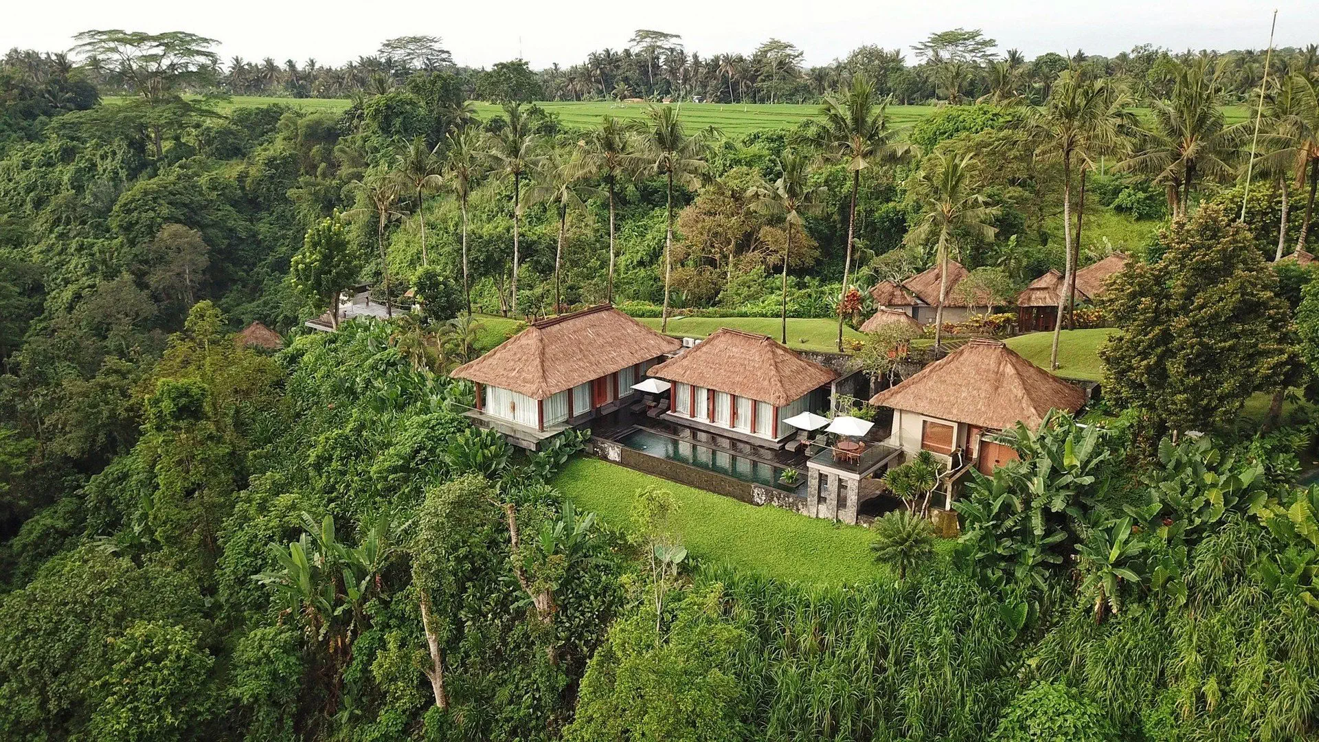 Maya Sanur Resort & Spa - zdjęcie 4