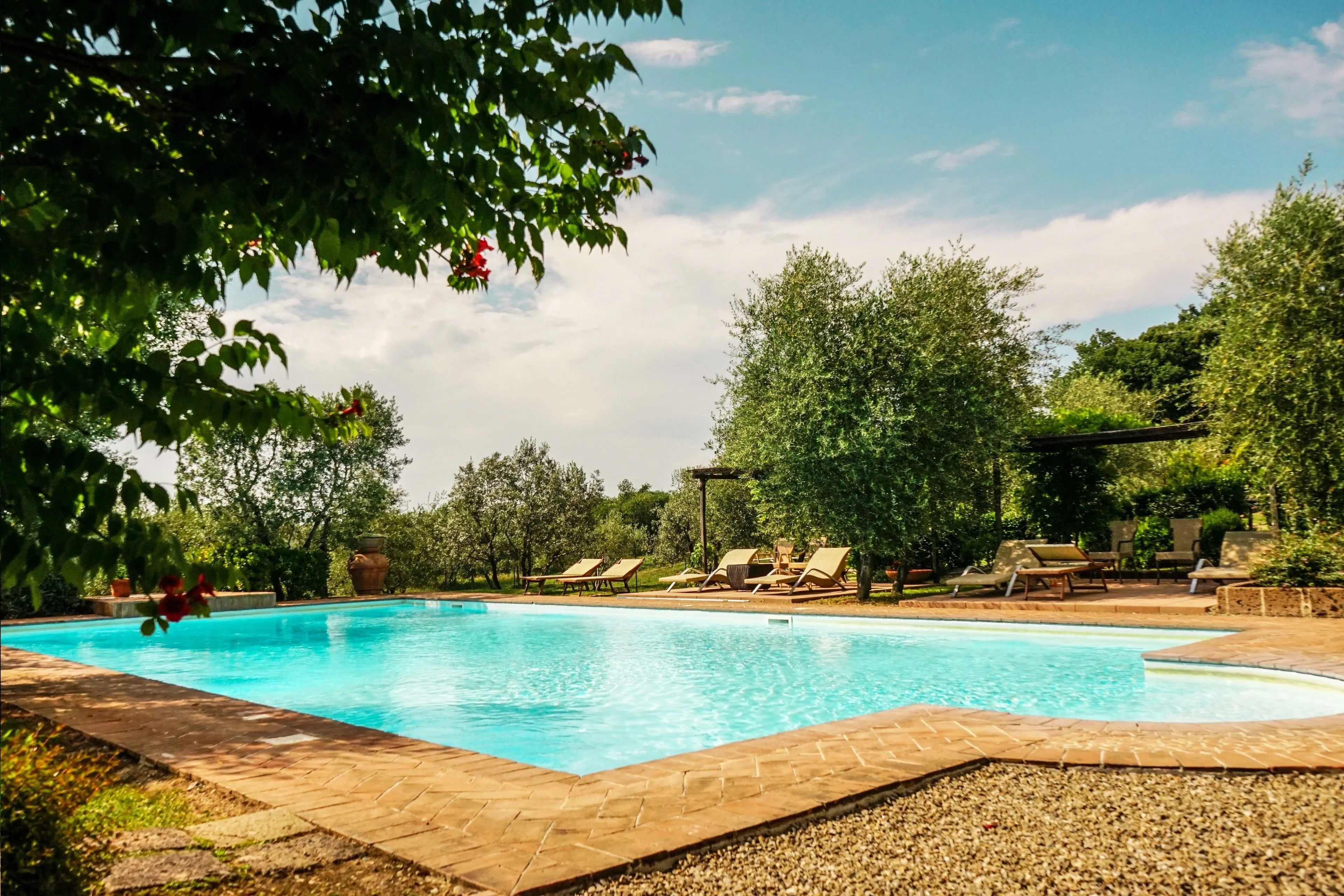 Tenuta Sant Ilario - zdjęcie 3