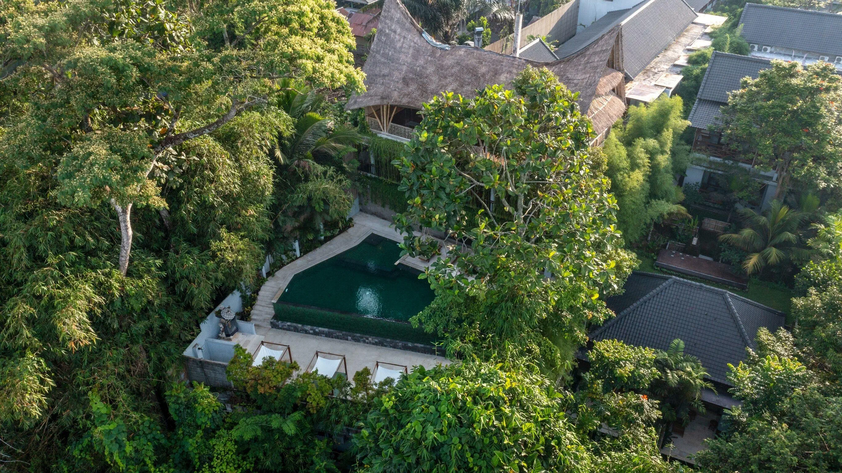 Dinara Ubud - zdjęcie 13