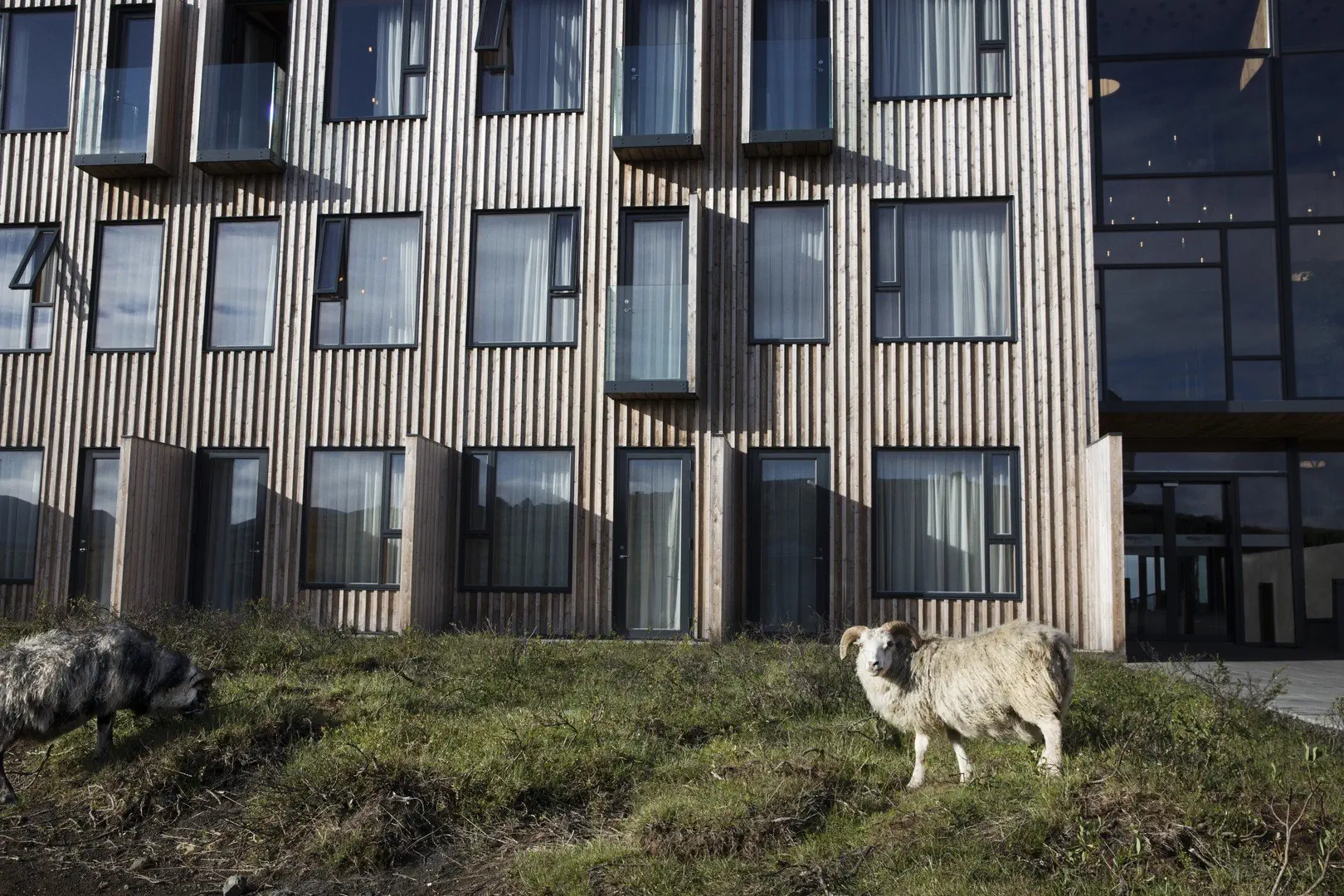 Fosshotel Myvatn - zdjęcie 20