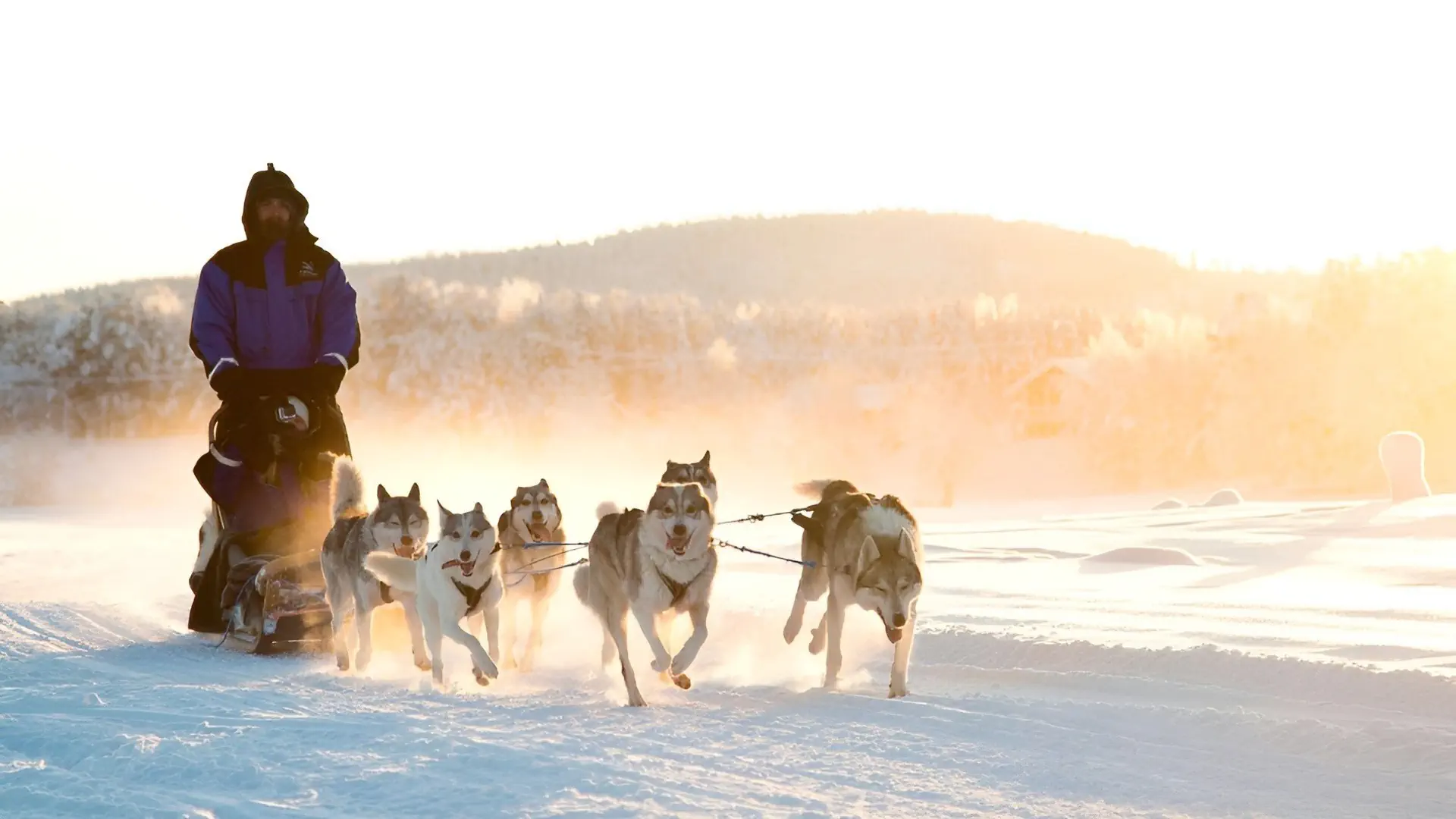 Northern Lights Village Levi (Laponia)