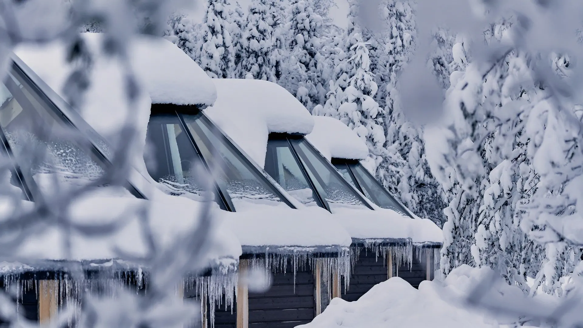 Northern Lights Village Levi (Laponia)