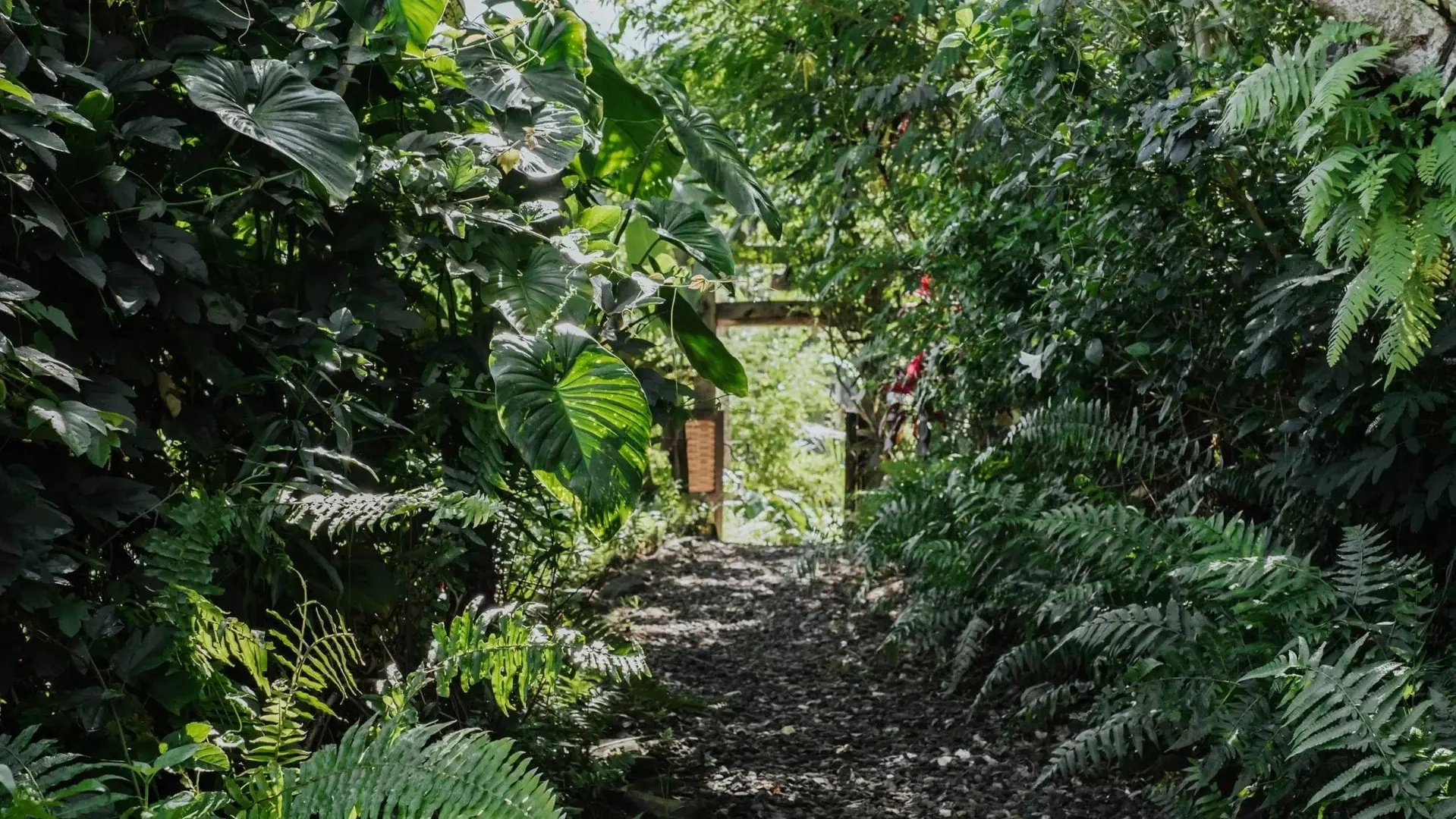 Buahan - a Banyan Tree Escape - zdjęcie 13