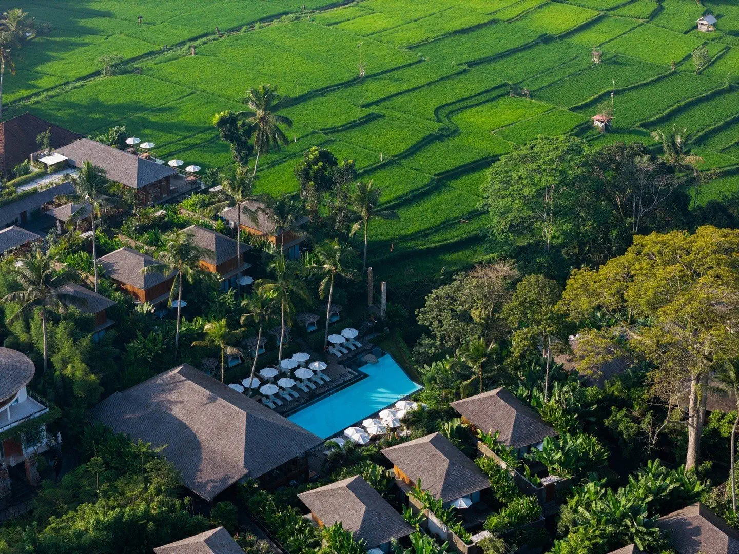 Kappa Senses Ubud - zdjęcie 3