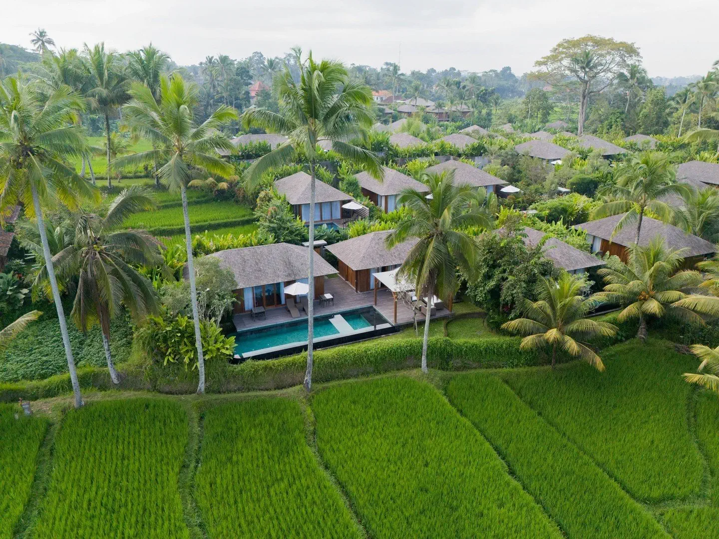 Kappa Senses Ubud - zdjęcie 8