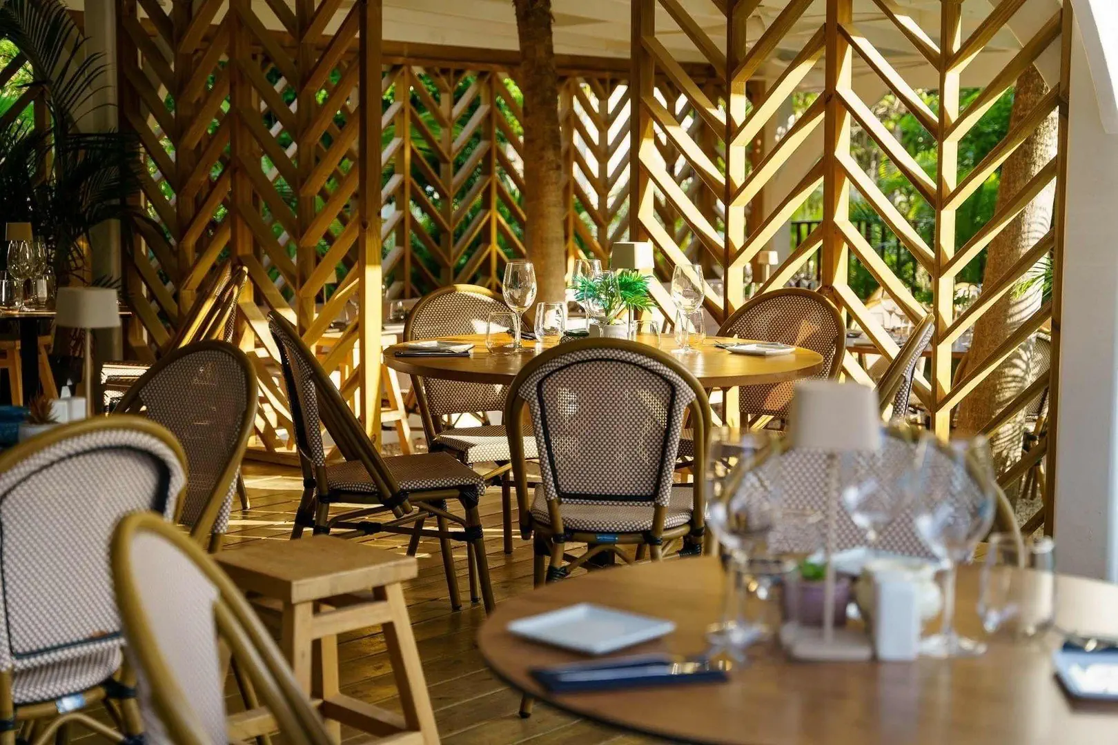 Palm Court - zdjęcie 17
