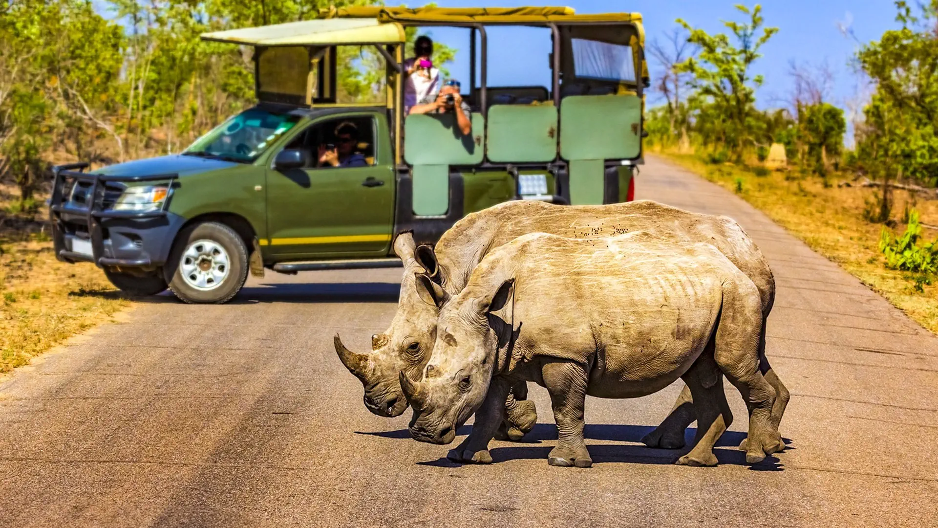 Safari z Wielką Piątką - zdjęcie 4