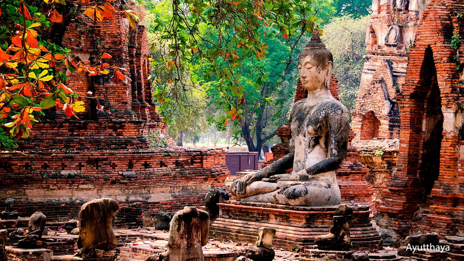 Wakacje Pod Palmami! Bangkok I Krabi - zdjęcie 7