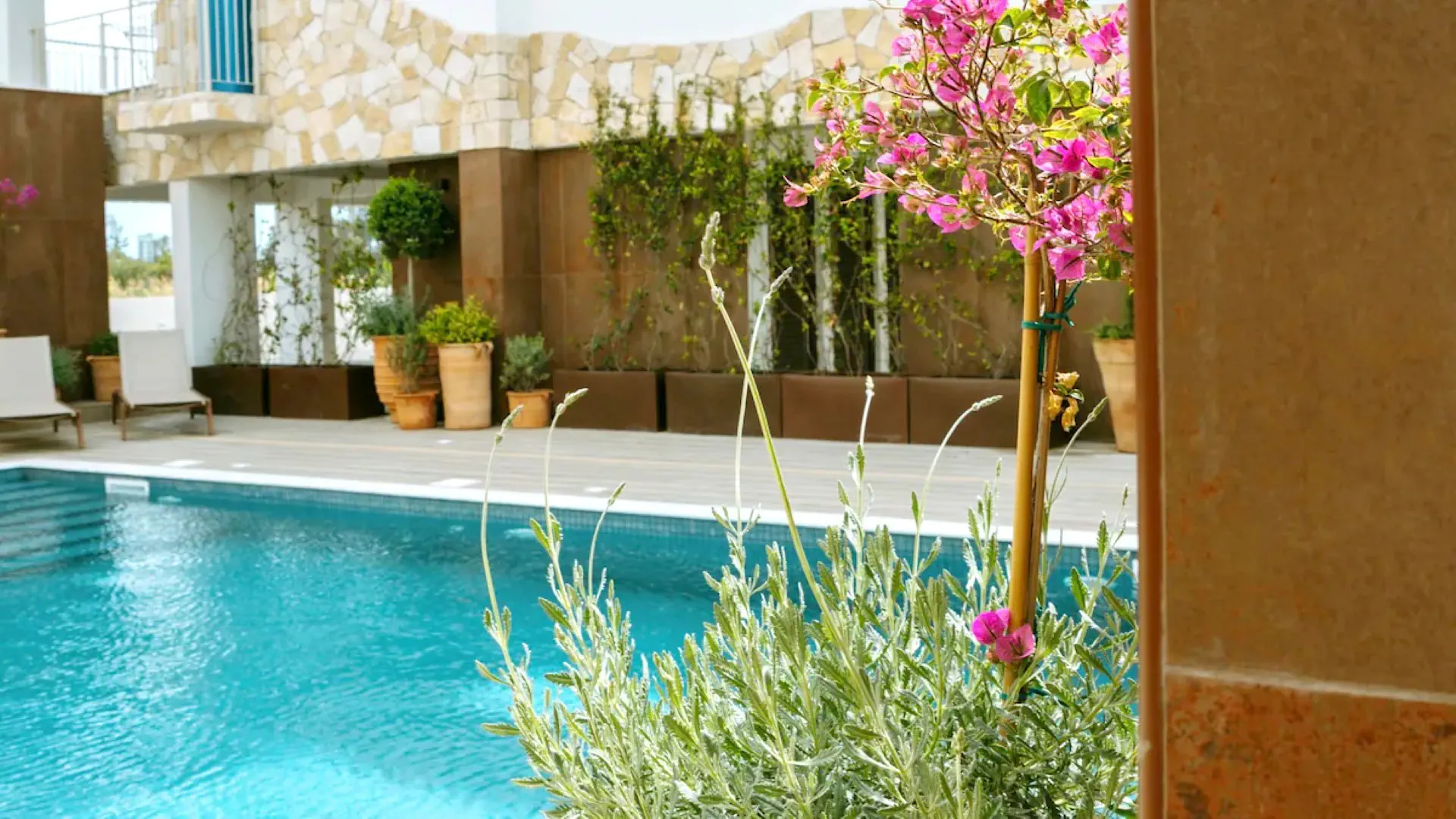 LIV&Co Suites Villas - zdjęcie 4