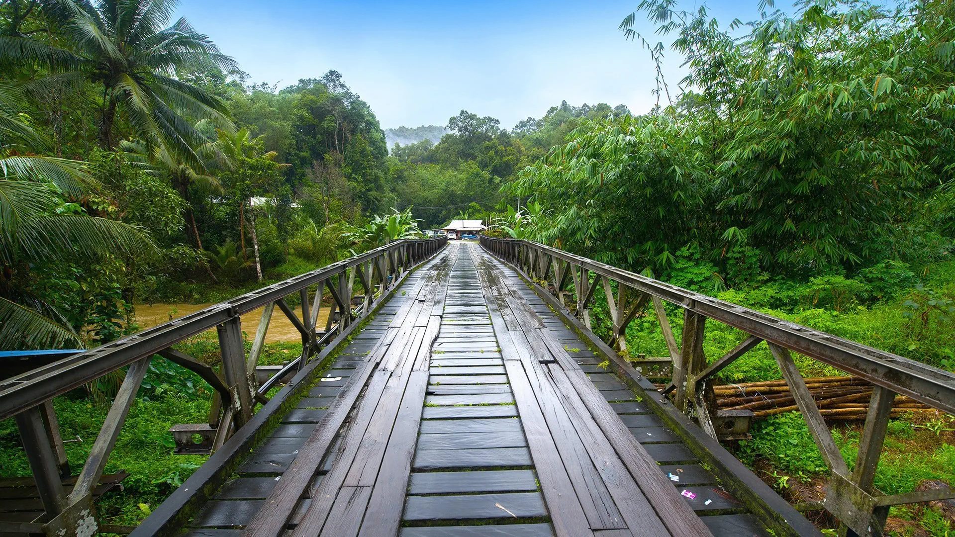 W Sercu Natury: Langkawi i Borneo - zdjęcie 14