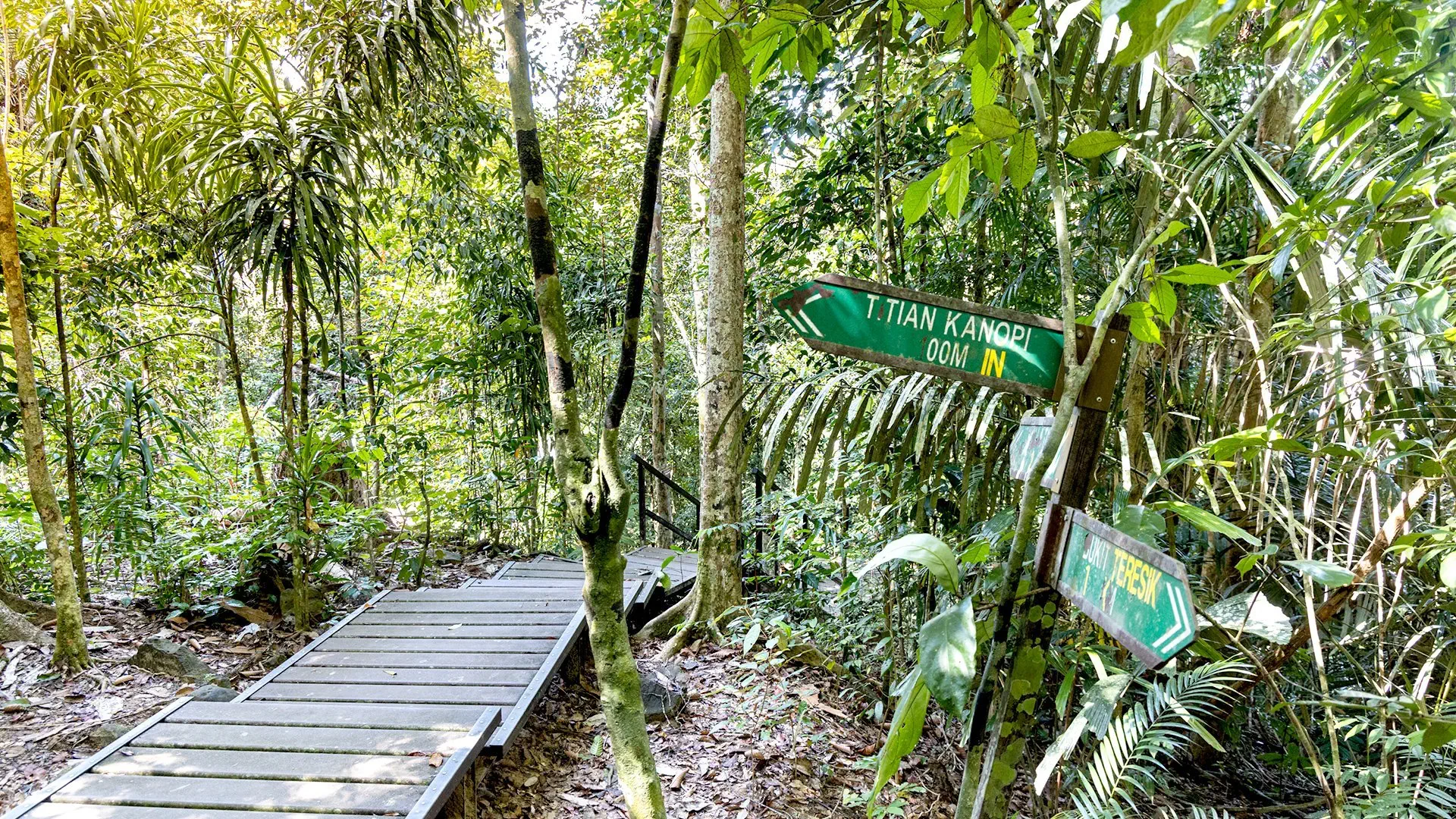 Z Kuala Lumpur Na Langkawi - zdjęcie 8