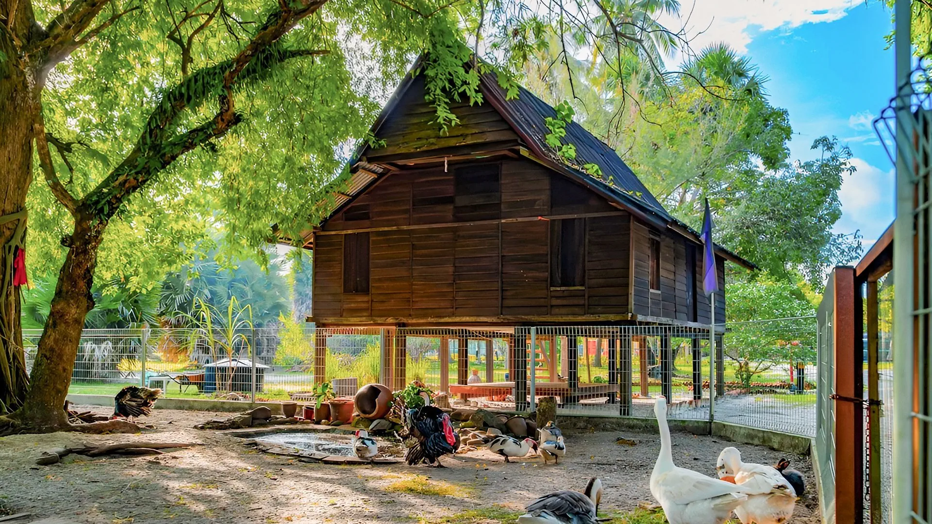 Pelangi Beach Resort & Spa (ex. Meritus Pelangi Beach Resort) - zdjęcie 42