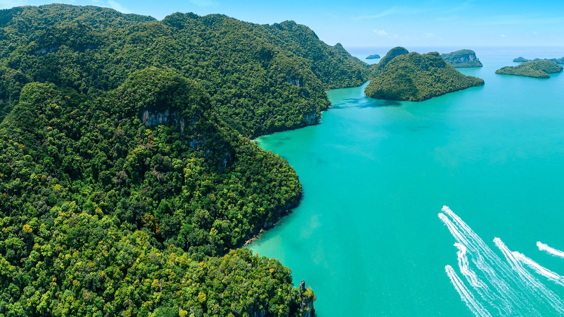 Z Langkawi Na Spotkanie Z Dziką Sumatrą - zdjęcie 7