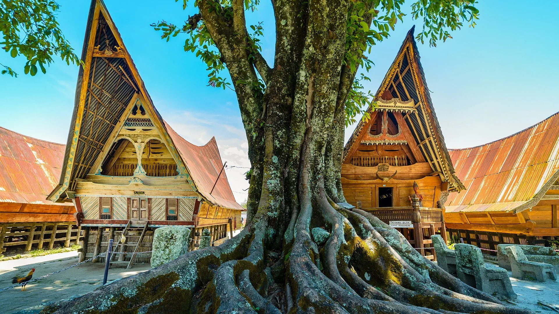 Z Langkawi Na Spotkanie Z Dziką Sumatrą - zdjęcie 4