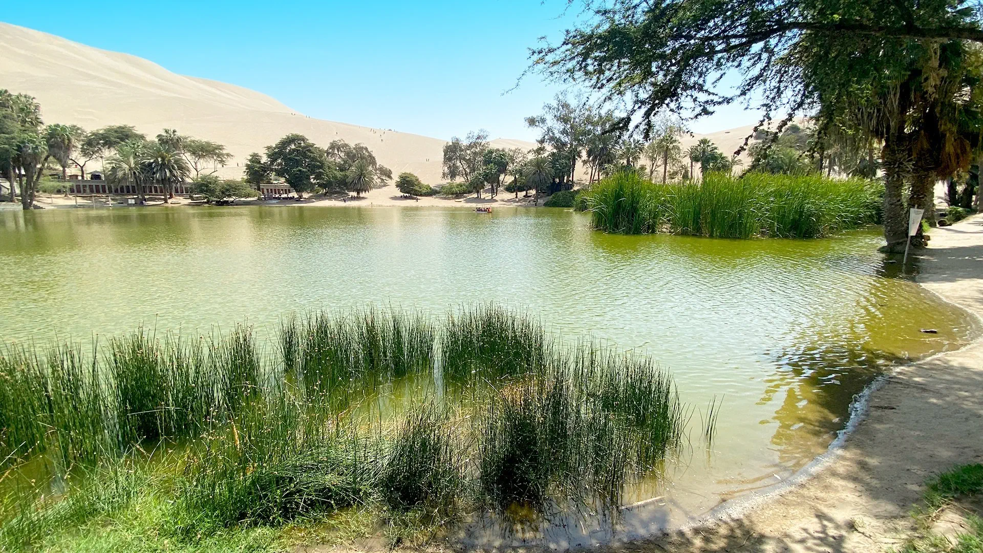 Tajemnice Altiplano - Peru, Boliwia, Chile - zdjęcie 10