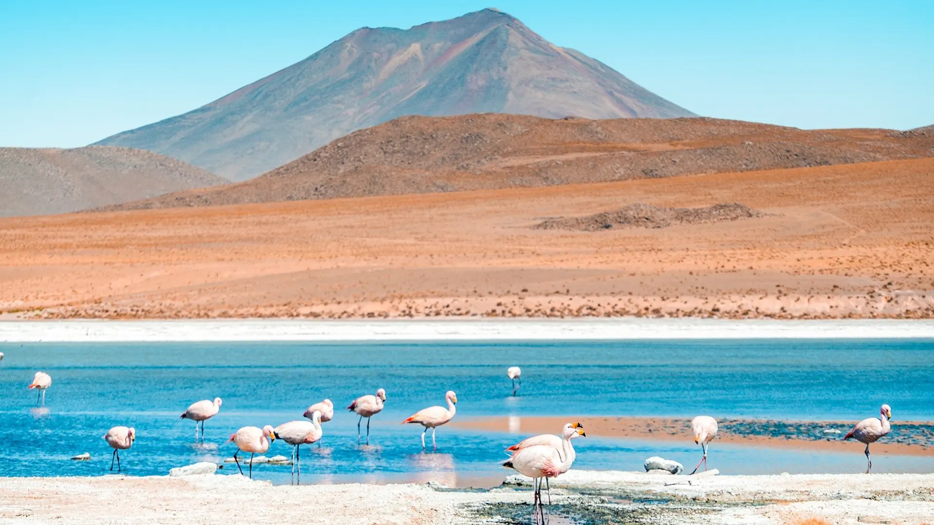 Tajemnice Altiplano - Peru, Boliwia, Chile - zdjęcie 13