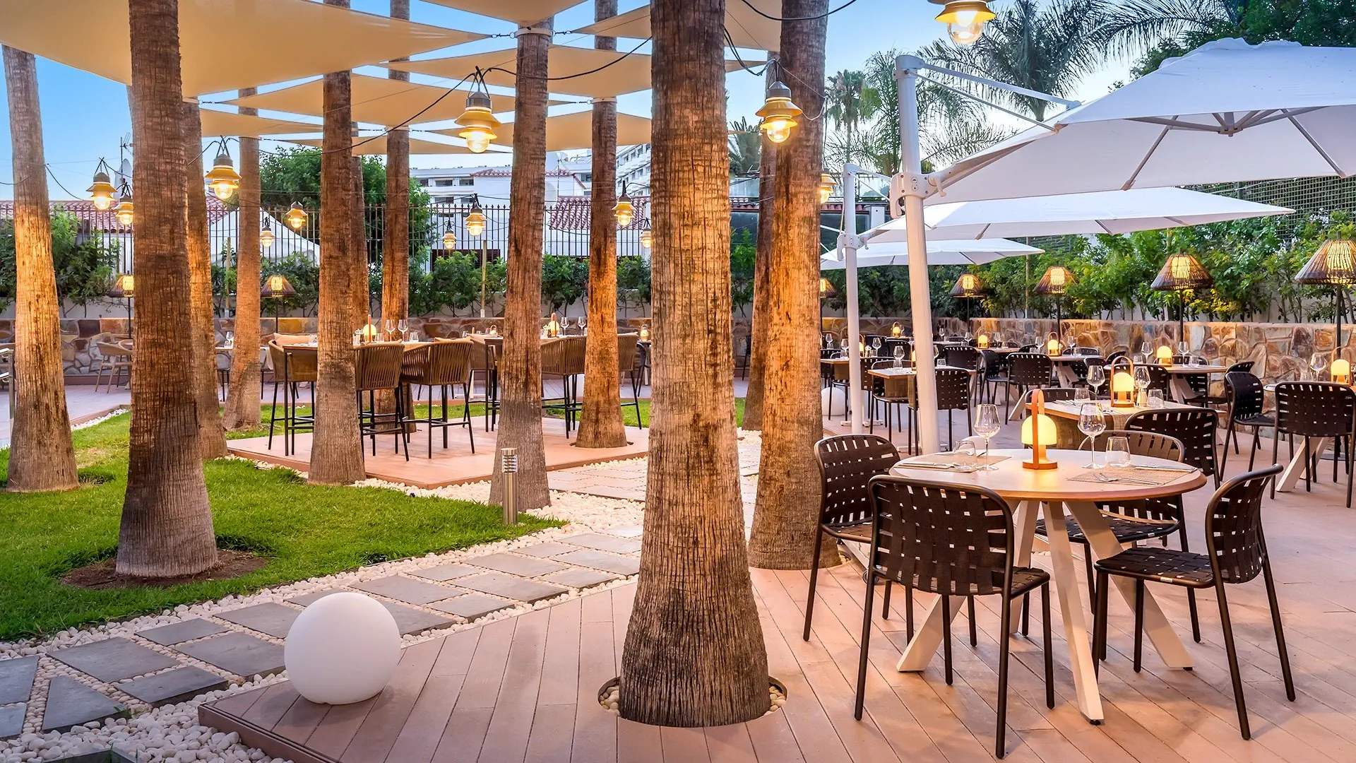 Barcelo Margaritas Royal Level