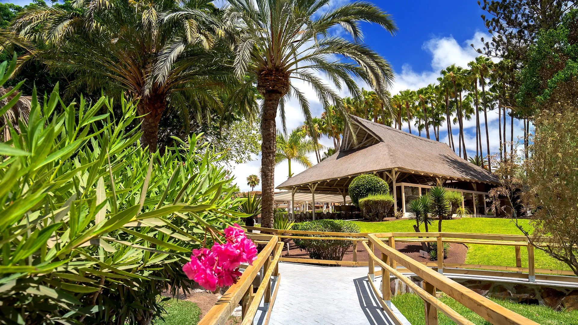 Barcelo Margaritas Royal Level
