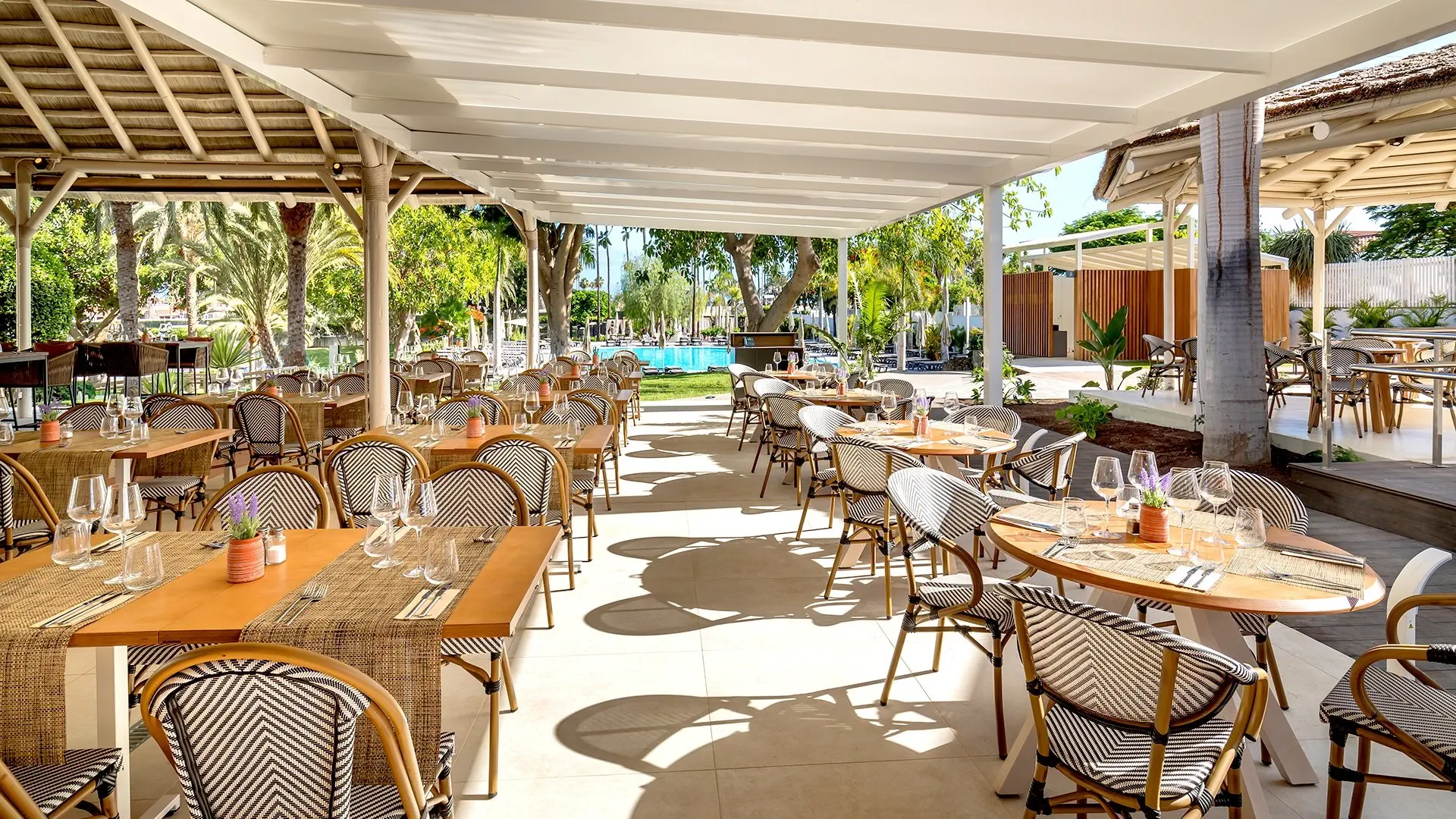 Barcelo Margaritas Royal Level