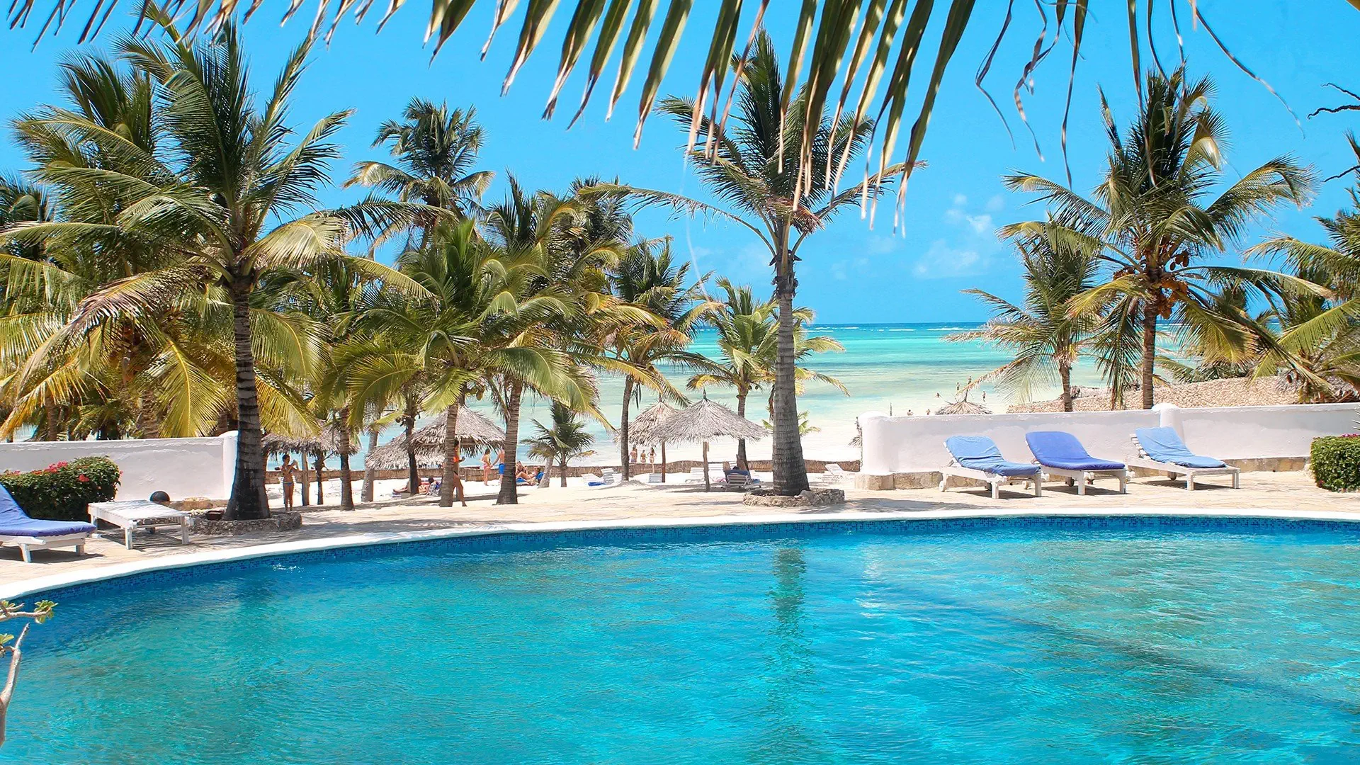 Jumbo Resort Watamu - zdjęcie 3