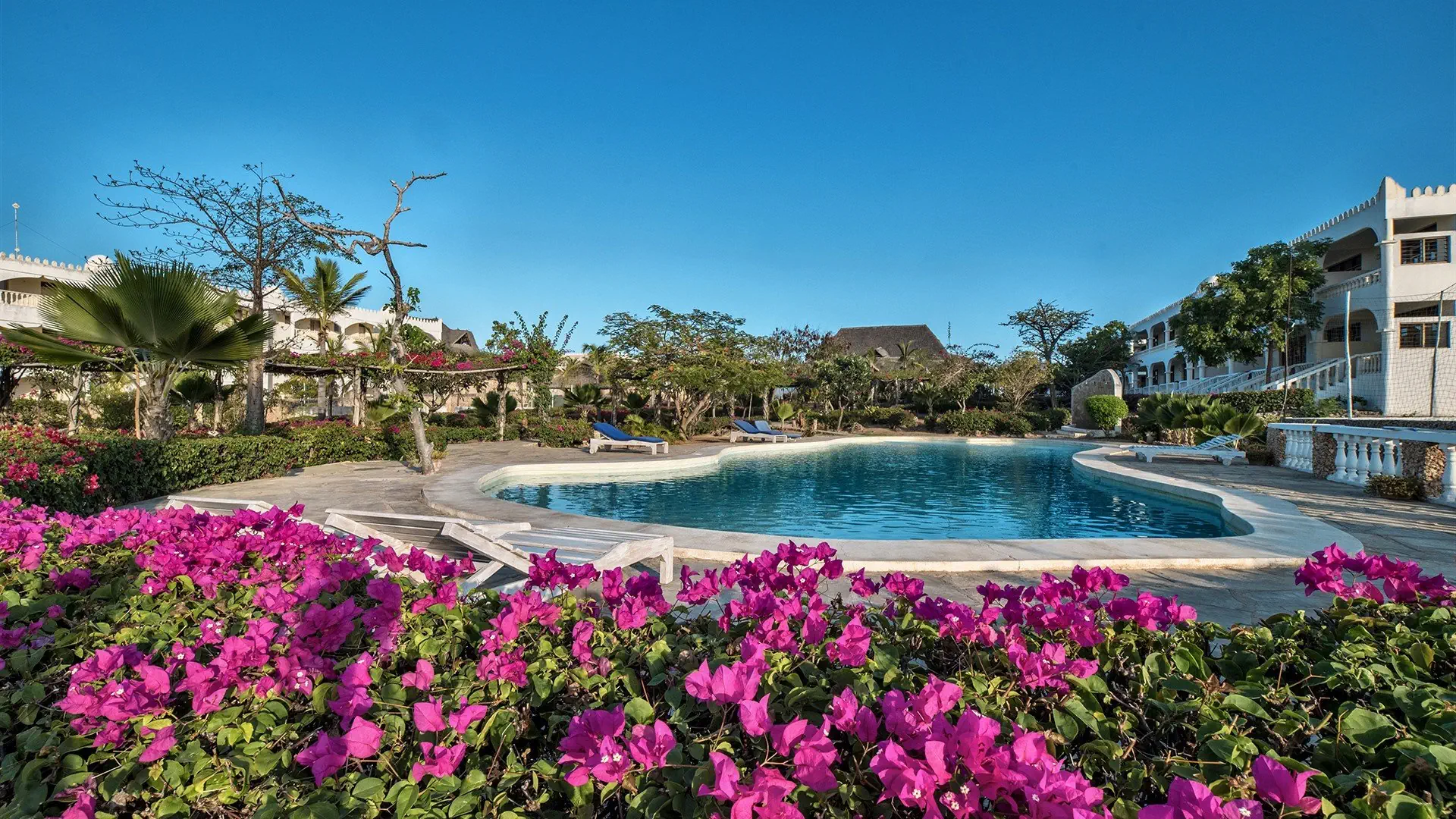 Jumbo Resort Watamu - zdjęcie 19
