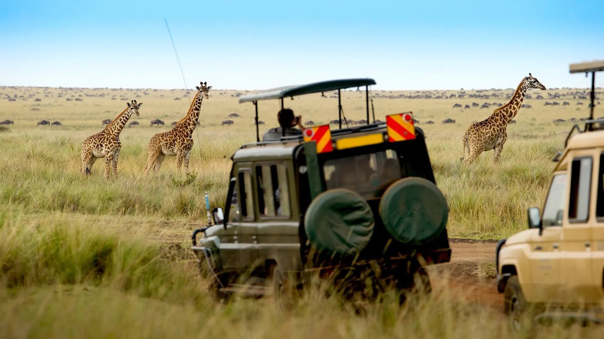 Safari Express + Travellers Beach Hotel & Club - zdjęcie 3