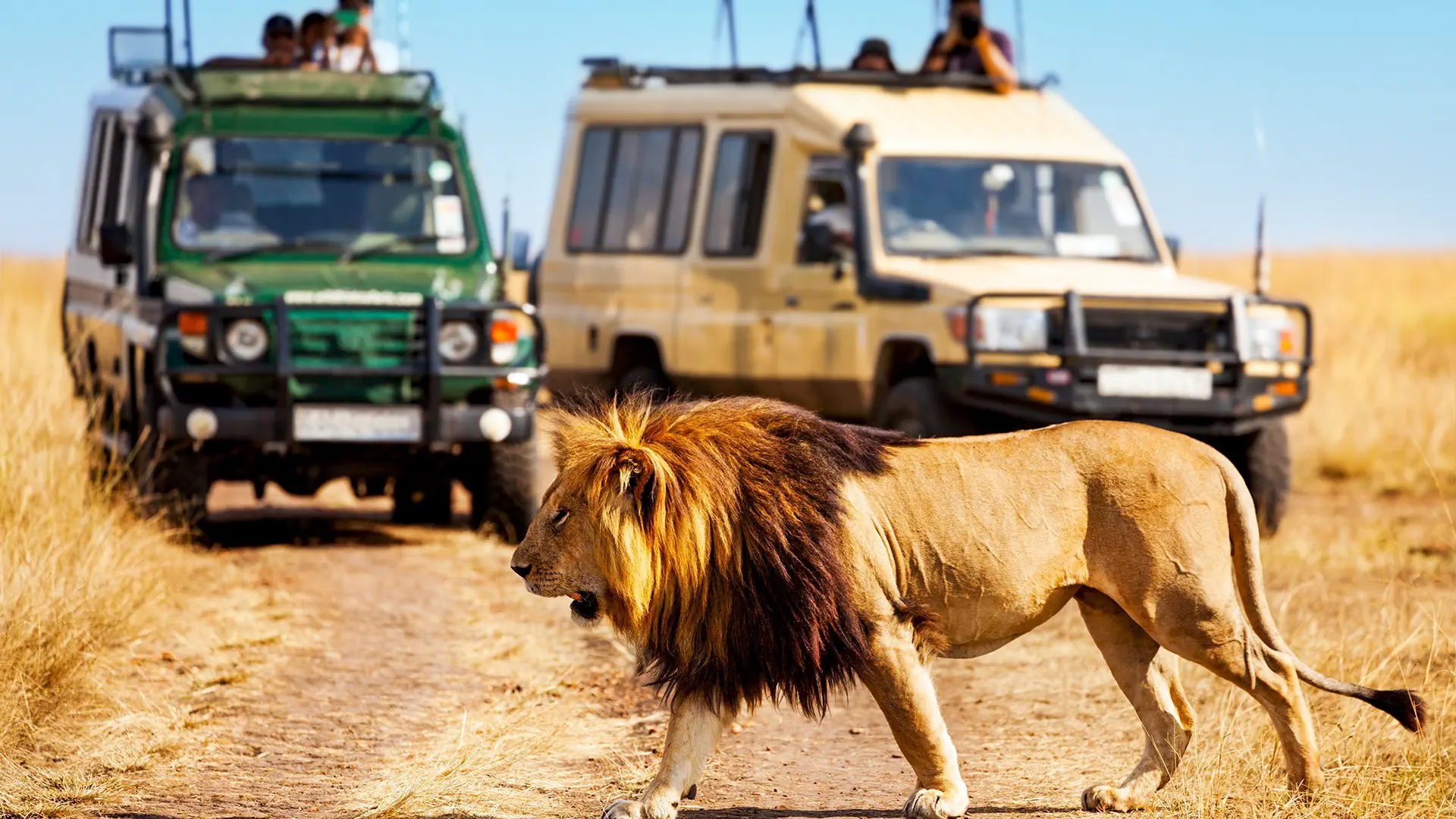 Safari Express + Hotel Prideinn Flamingo Beach Resort & Spa - zdjęcie 2
