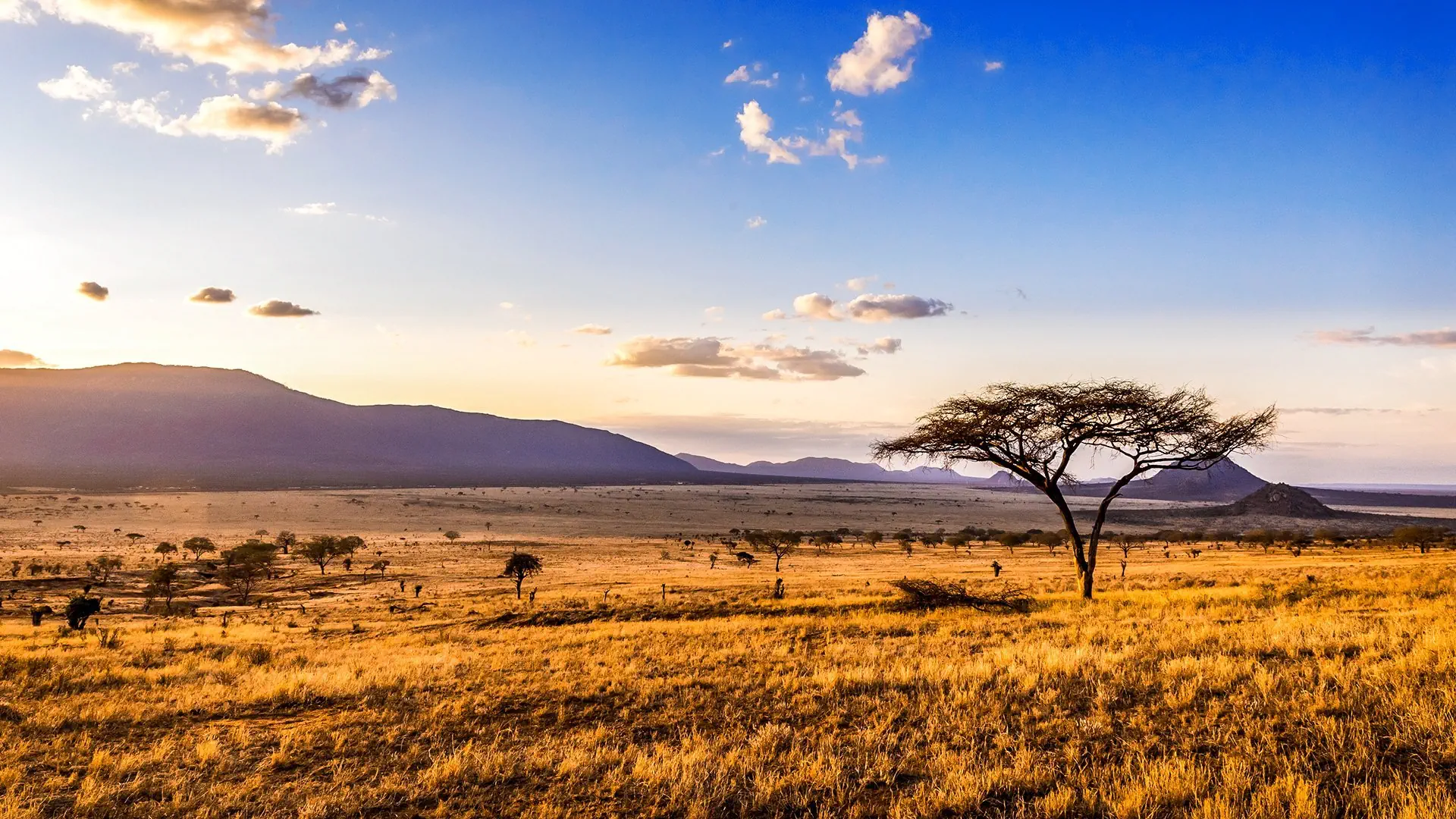 Oko w Oko z Ngorongoro - zdjęcie 4